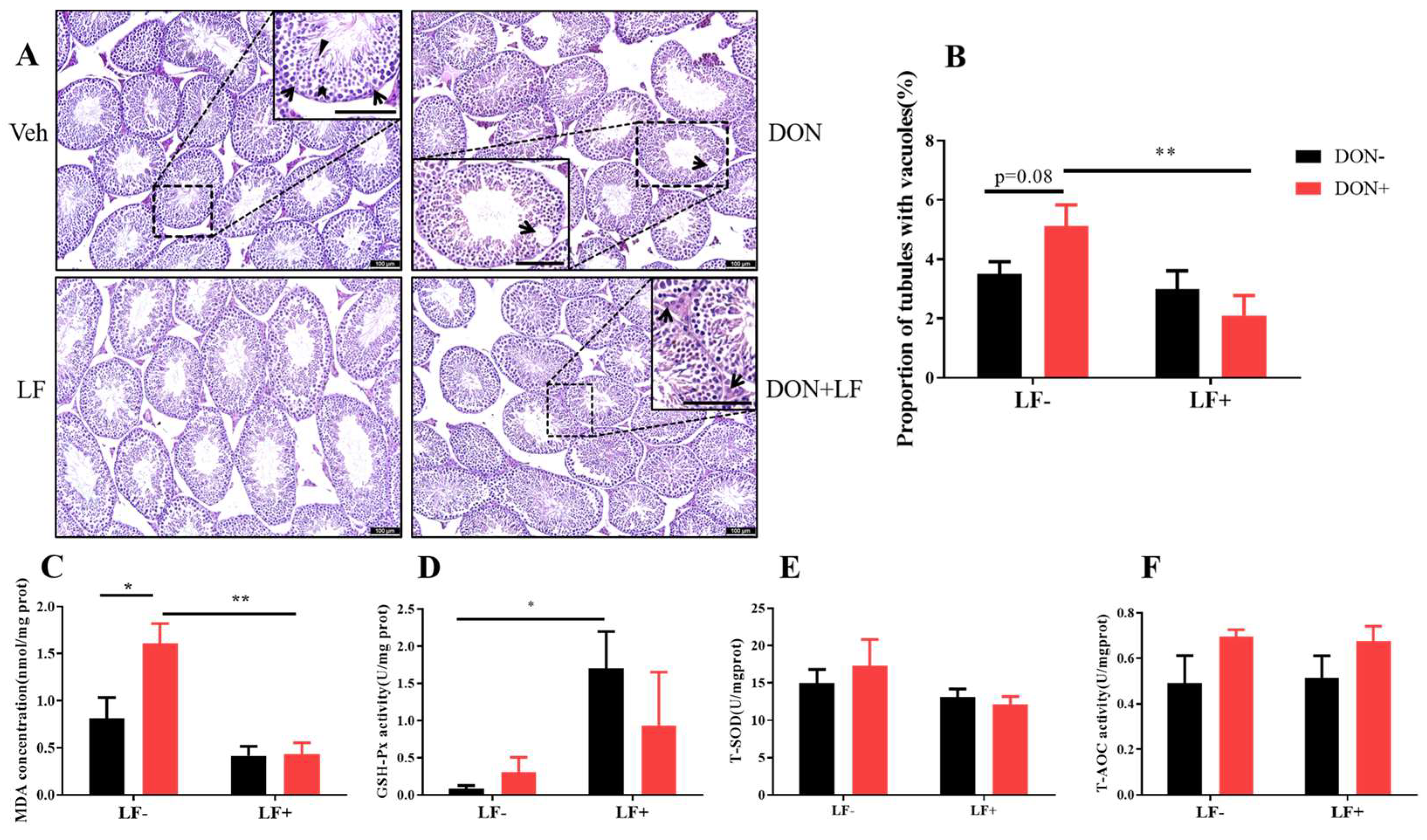 Antioxidants 12 00152 g002