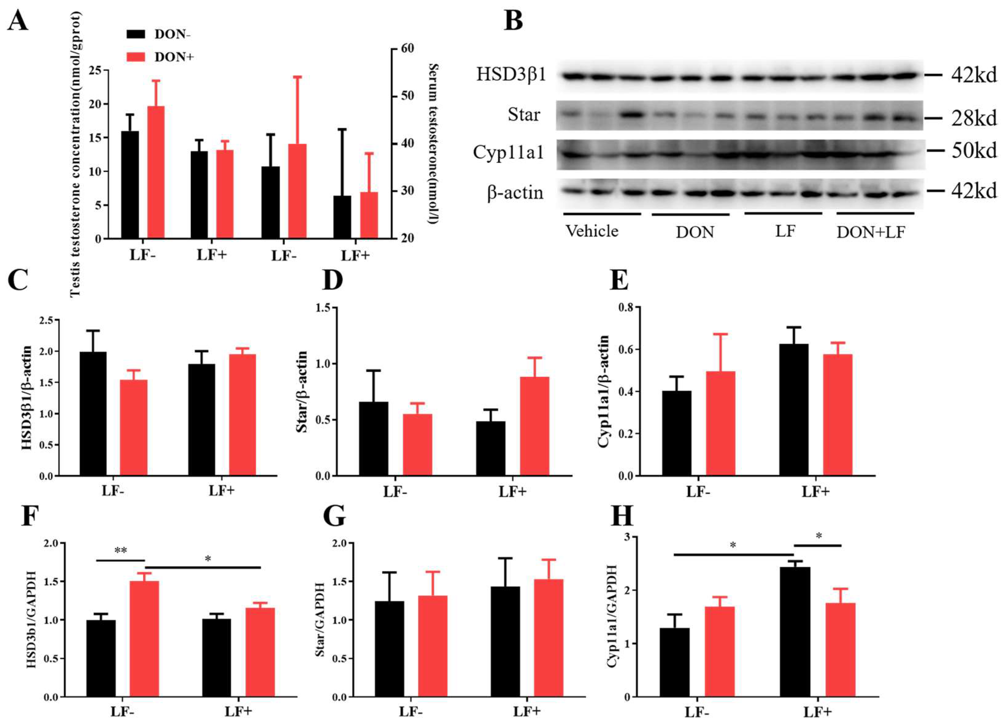 Antioxidants 12 00152 g003