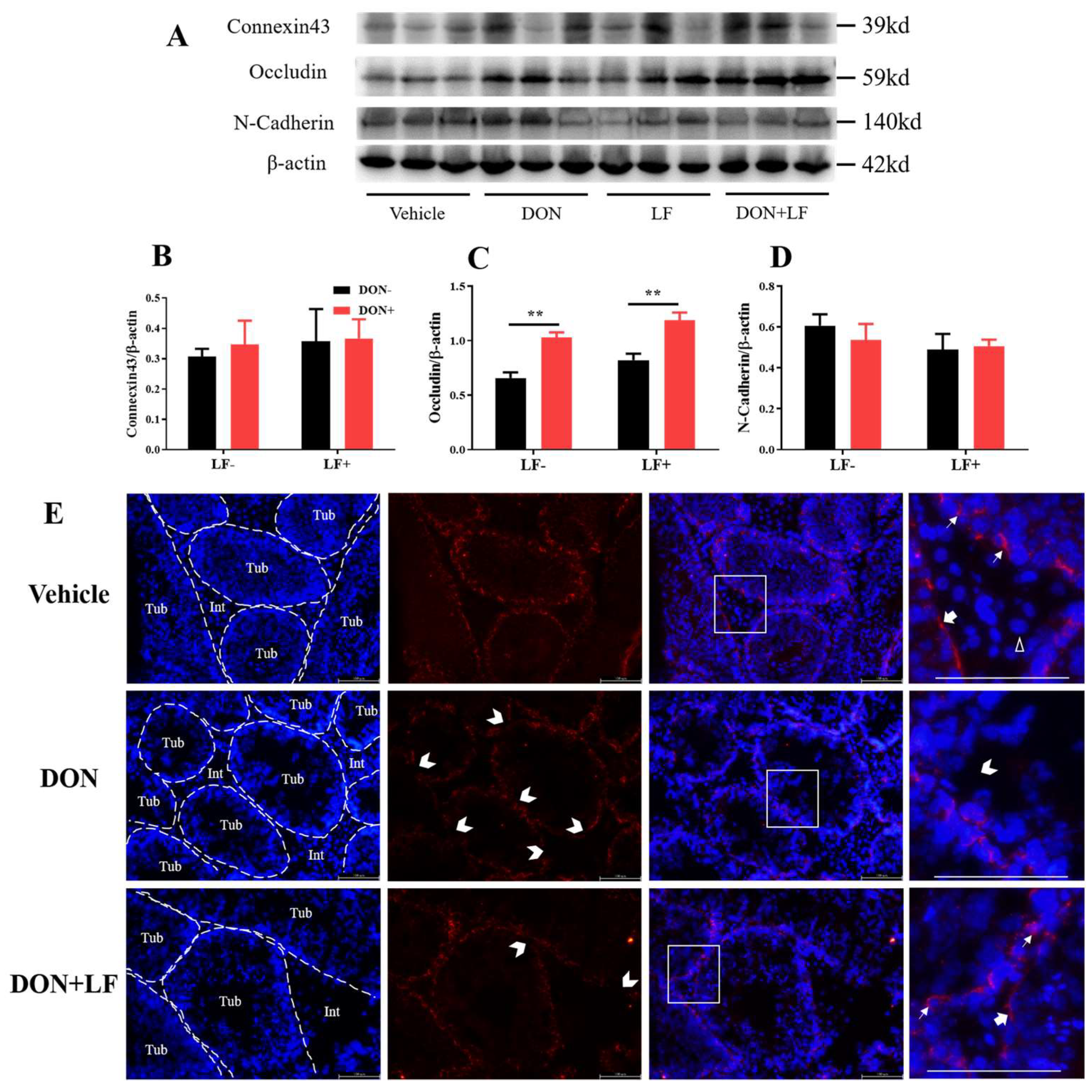Antioxidants 12 00152 g004