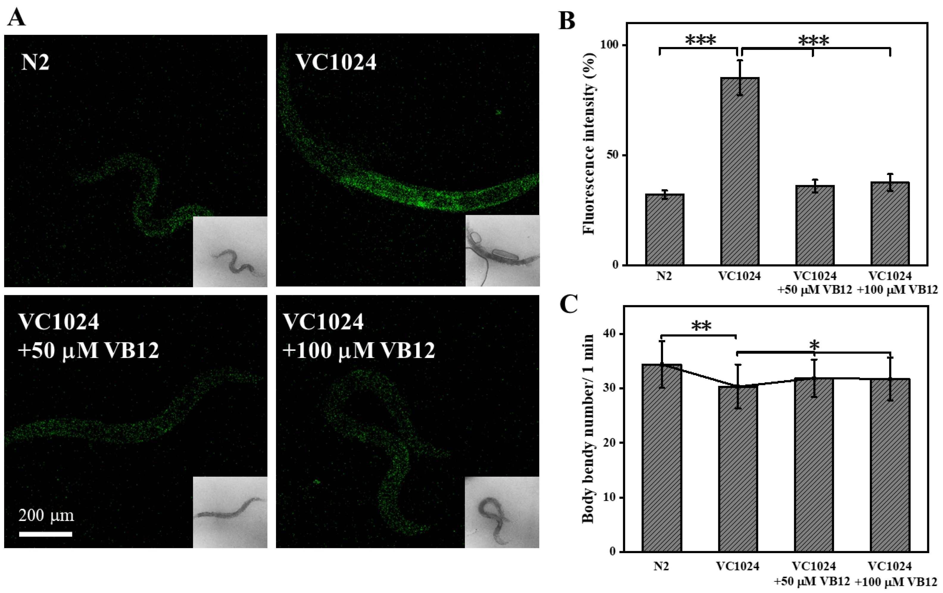 Antioxidants 12 00153 g005