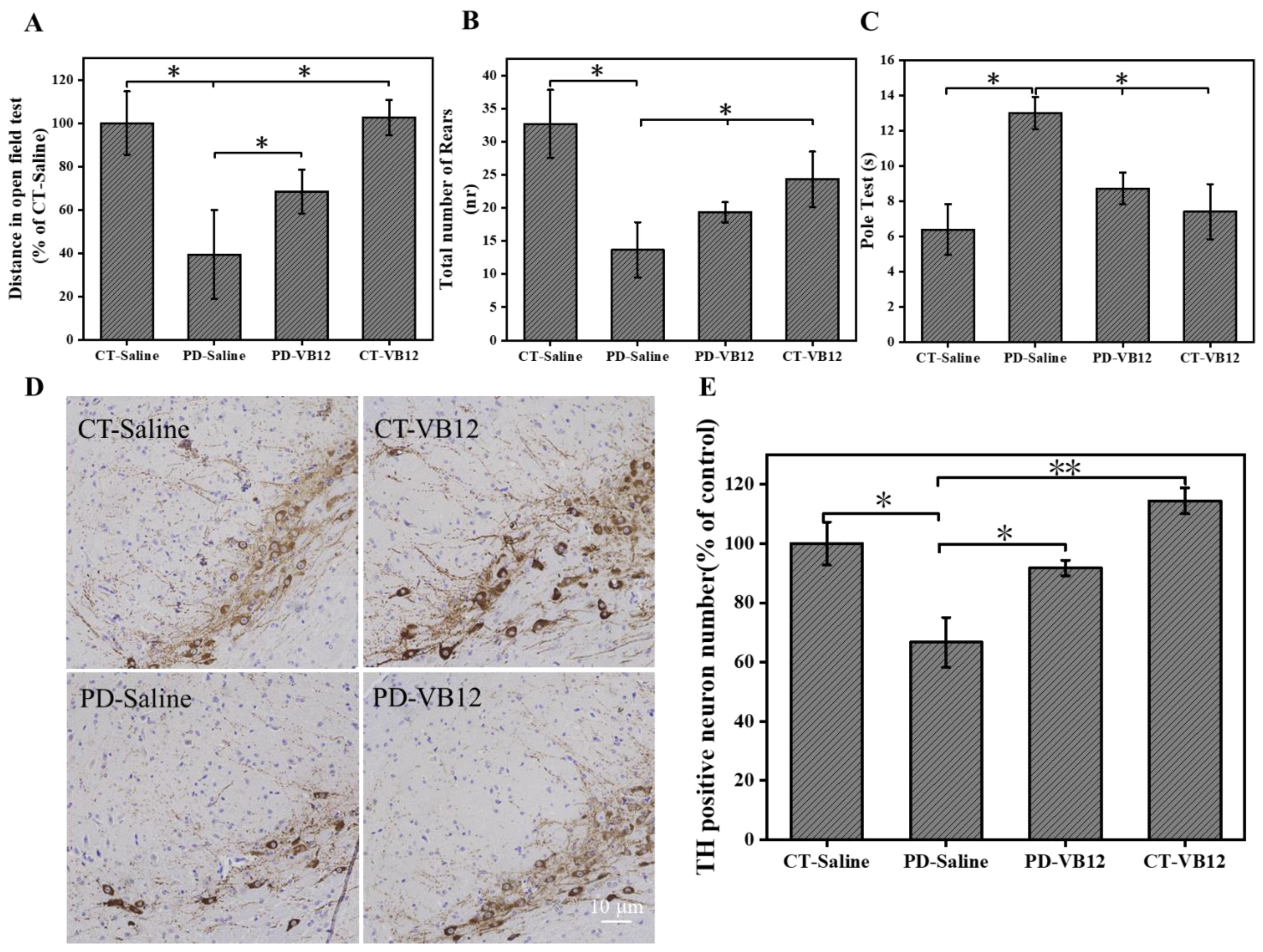 Antioxidants 12 00153 g006