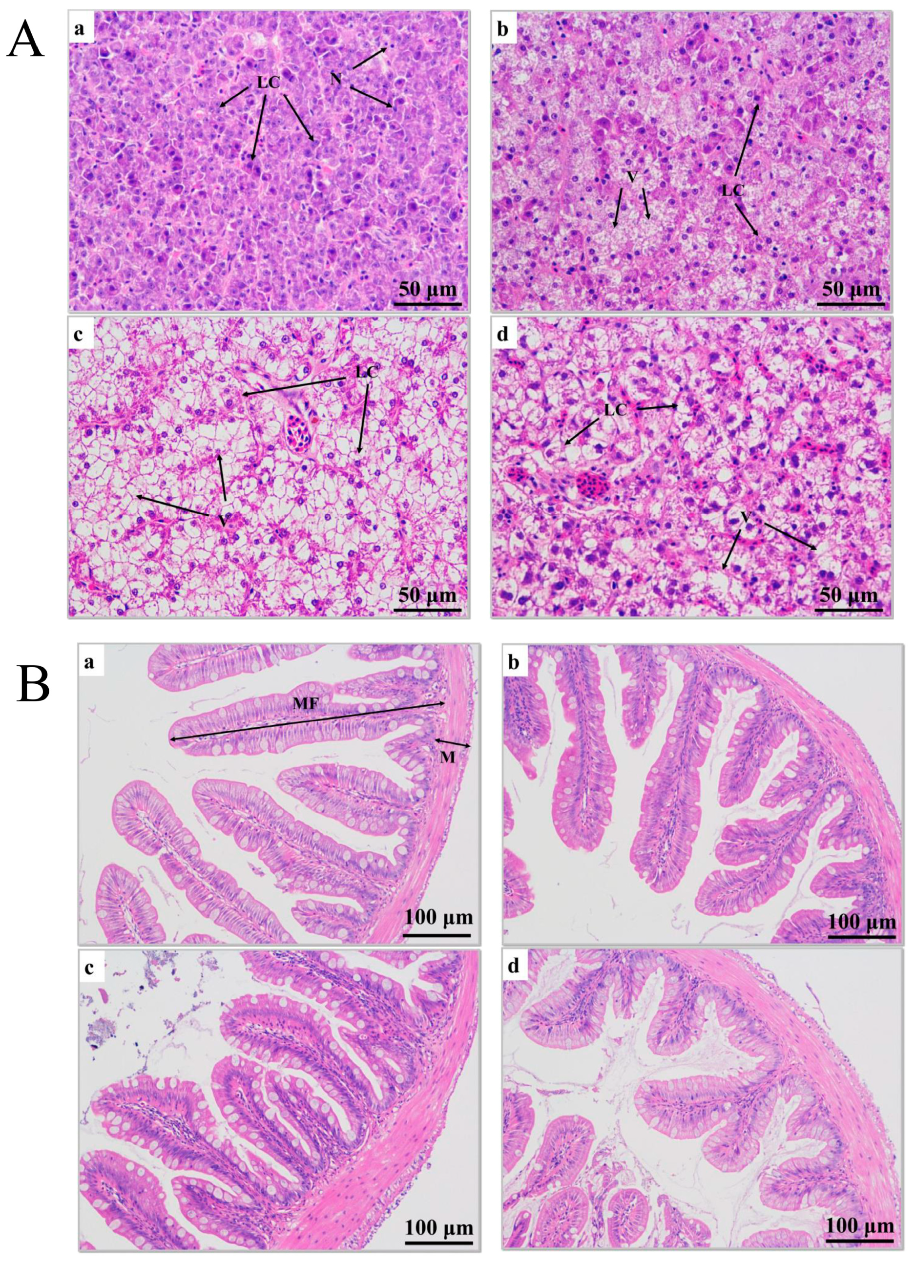 Antioxidants 12 00157 g002