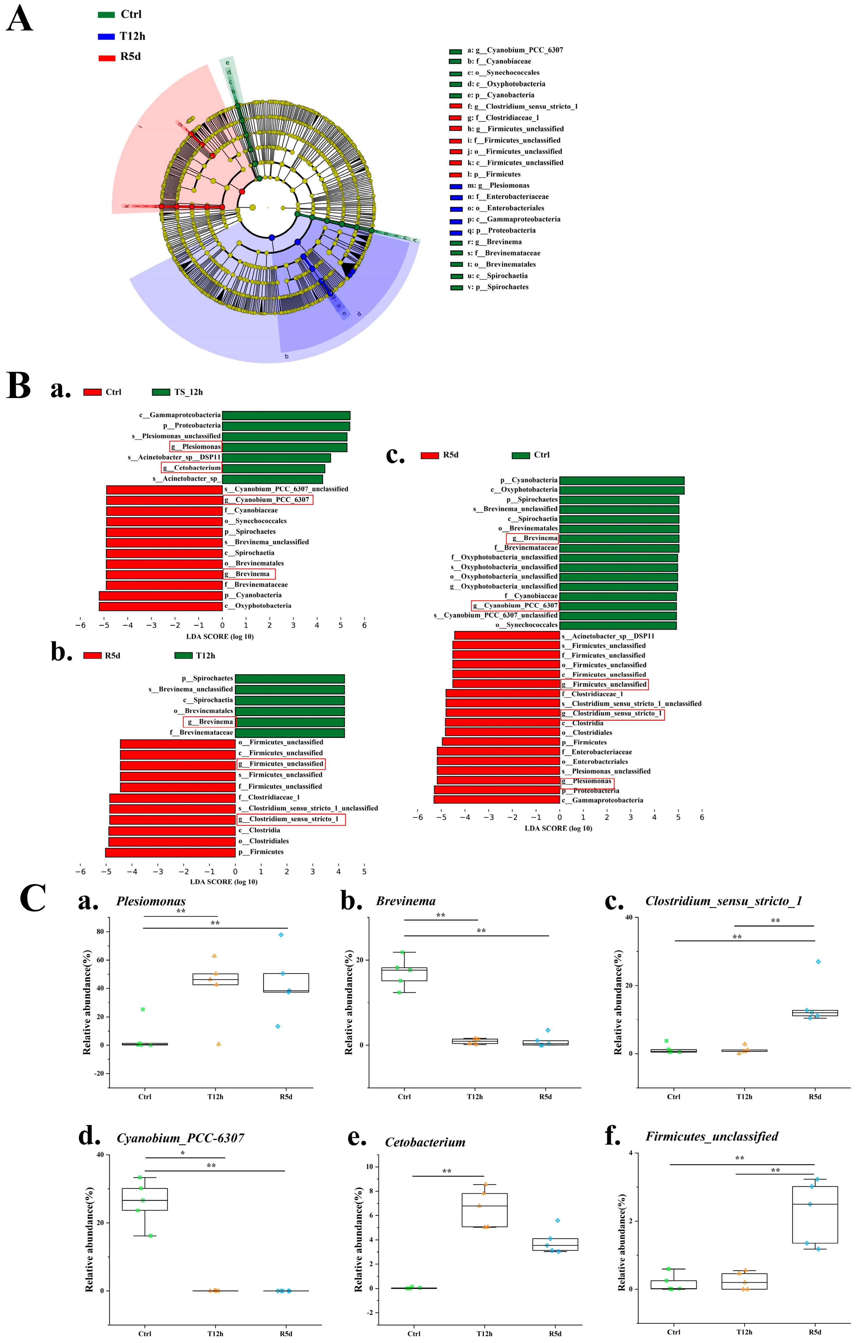 Antioxidants 12 00157 g006