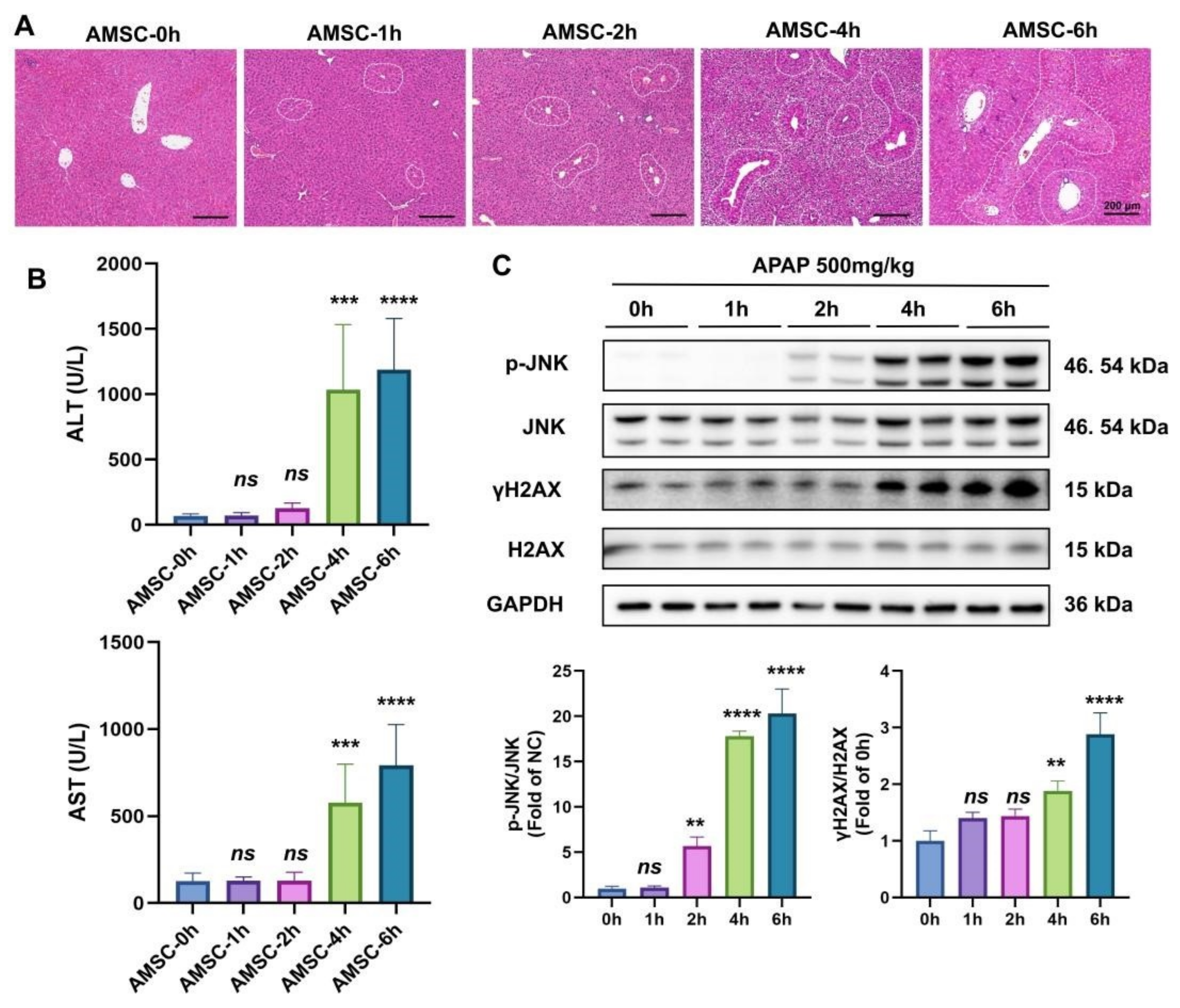 Antioxidants 12 00158 g003 Antioxidants 12 00158 g003
