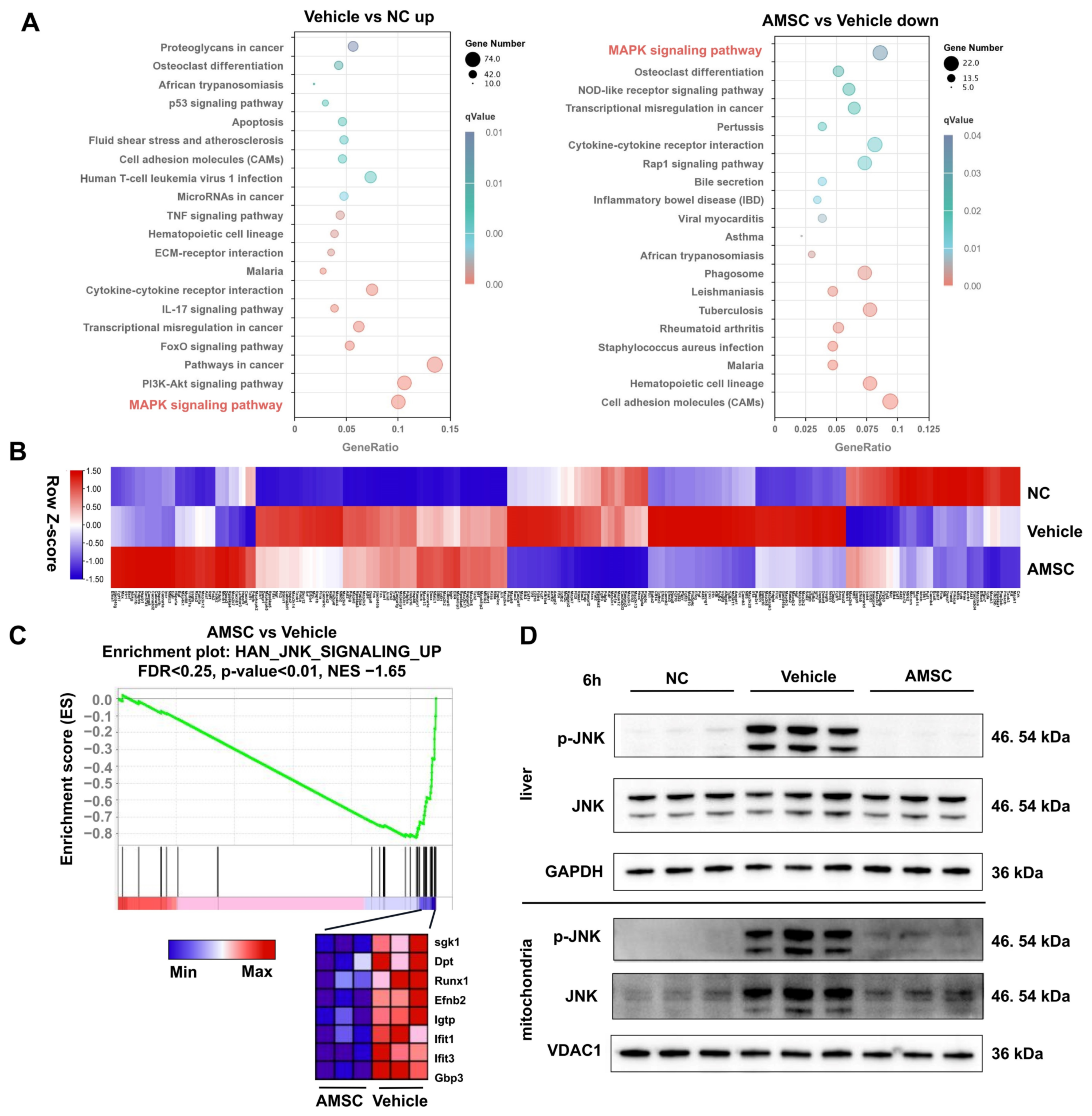 Antioxidants 12 00158 g004 Antioxidants 12 00158 g004