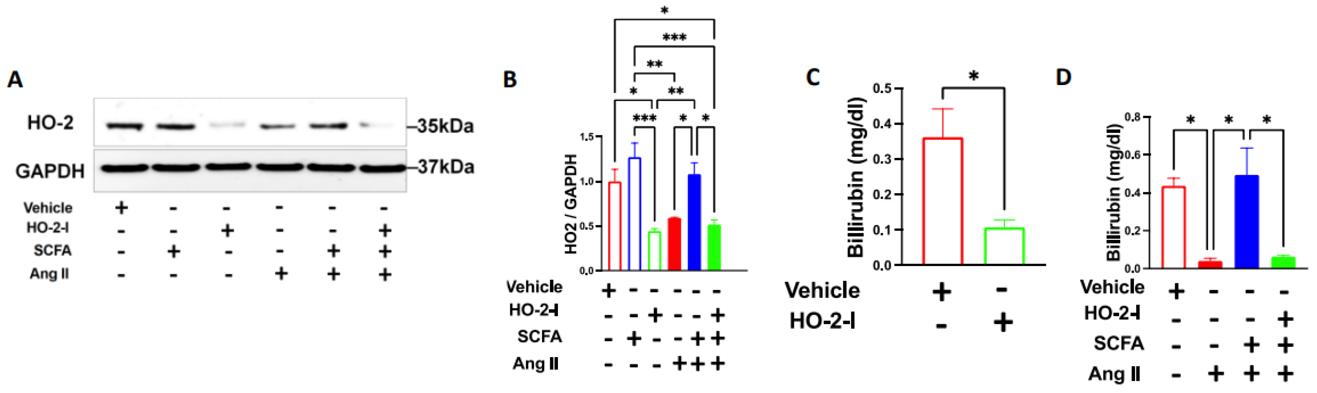 Antioxidants 12 00160 g001