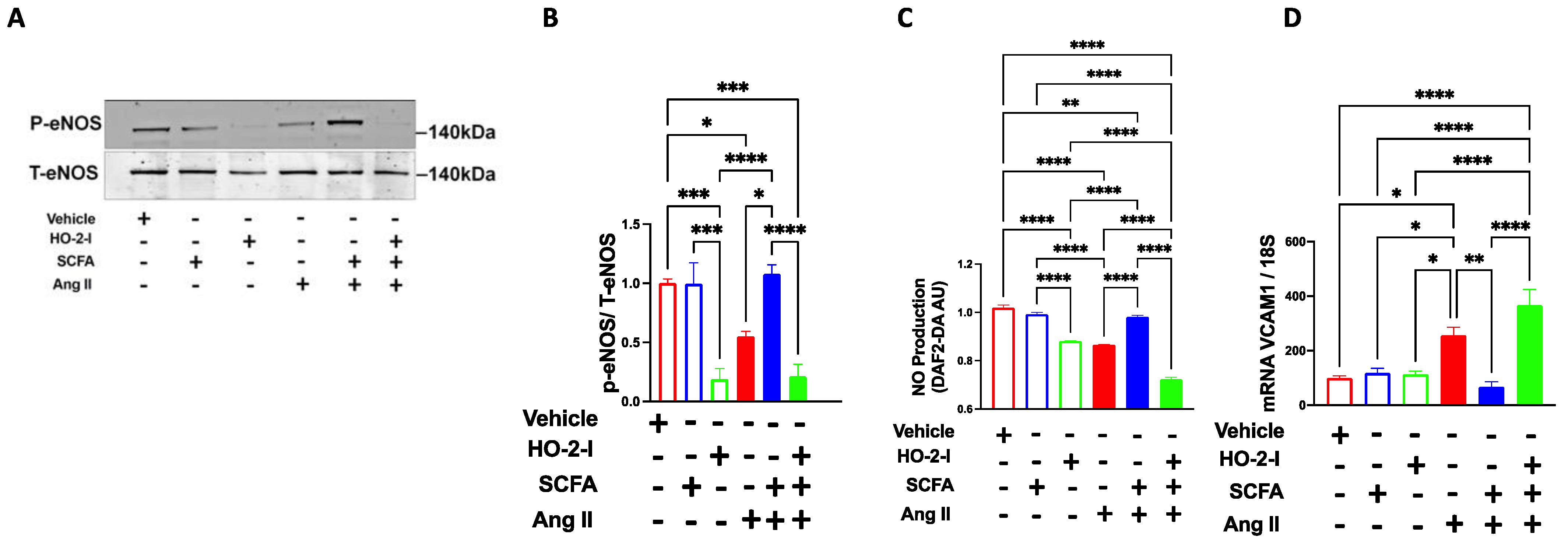 Antioxidants 12 00160 g002