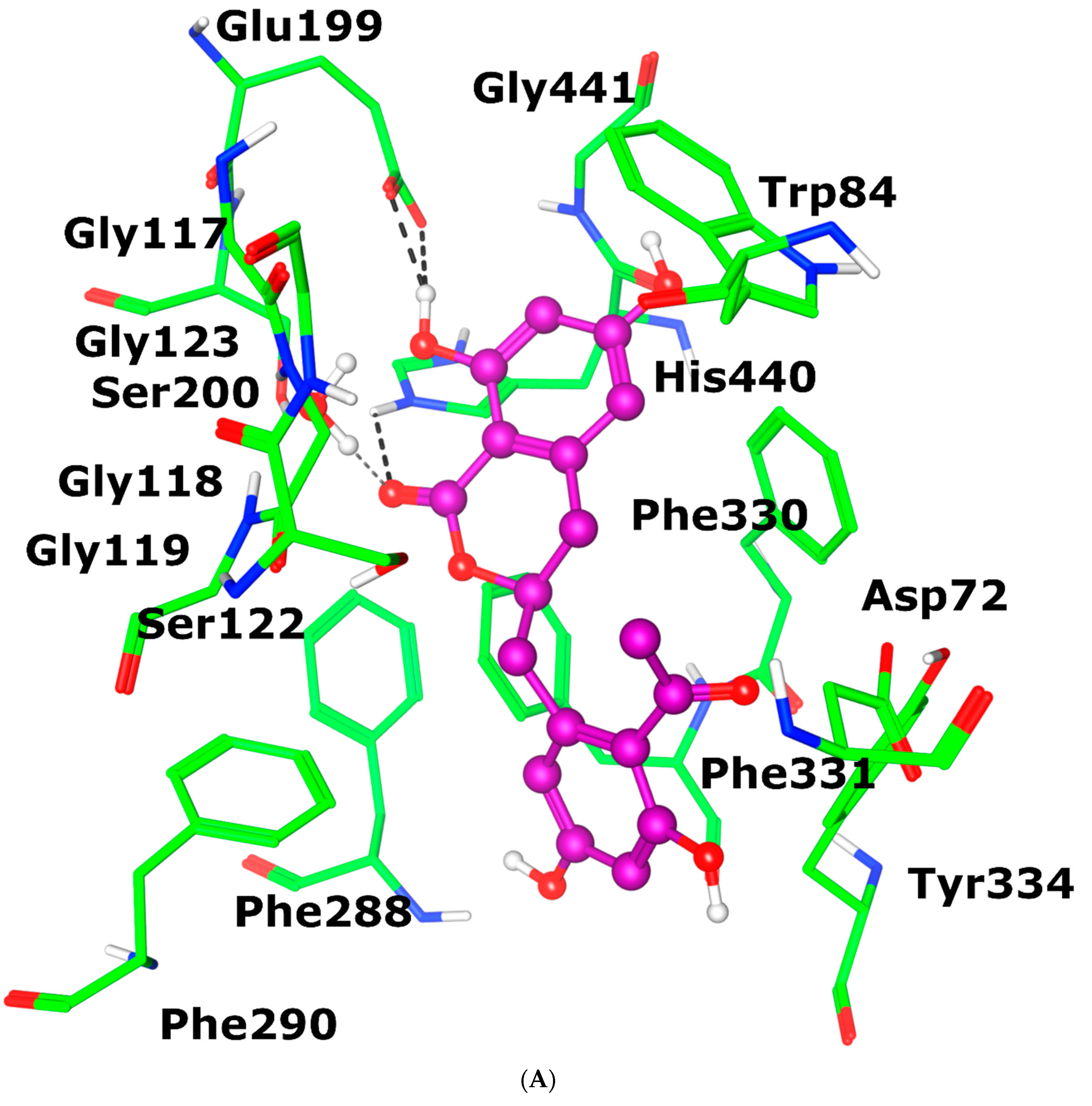 Antioxidants 12 00161 g006a