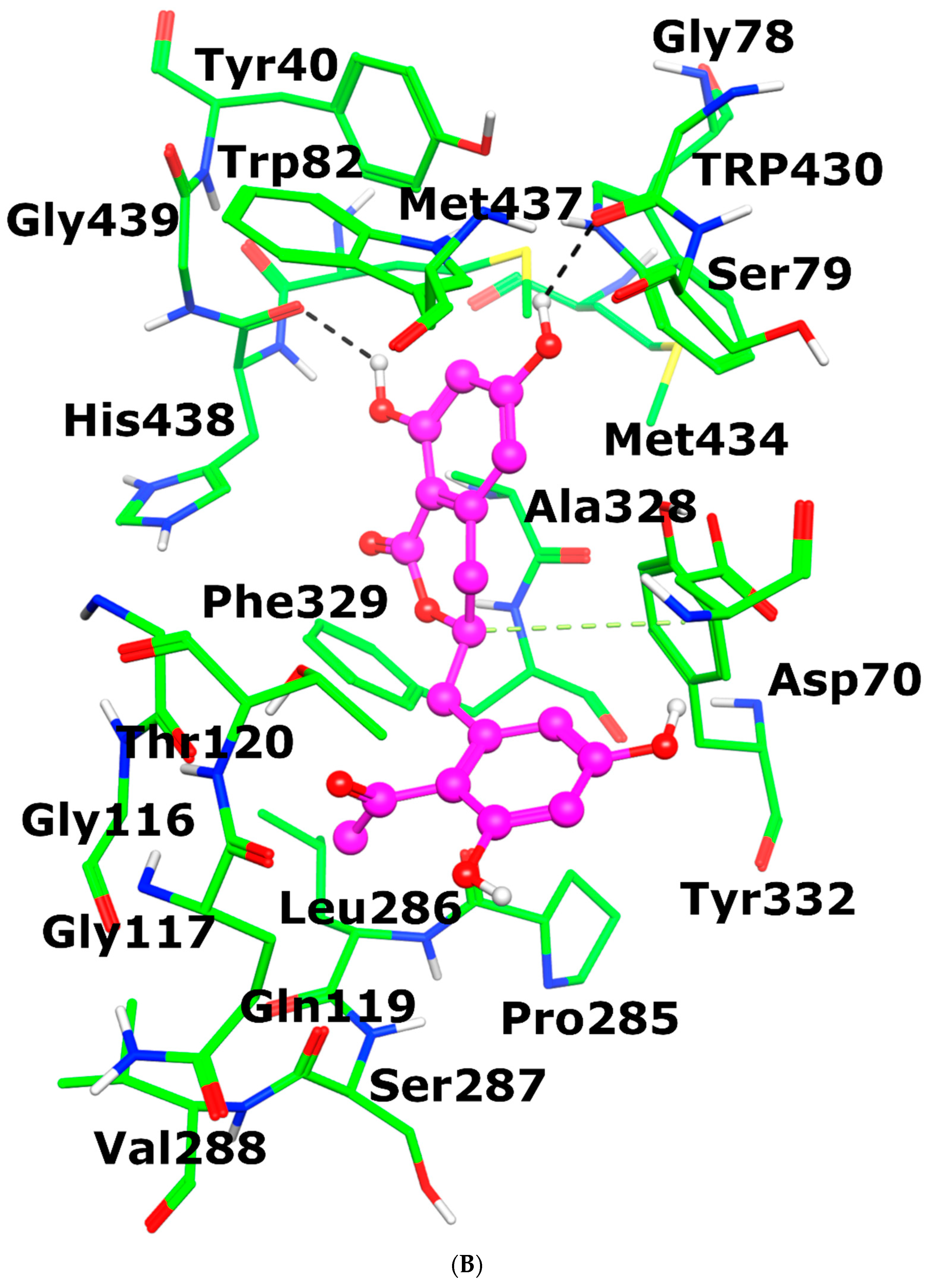 Antioxidants 12 00161 g006b