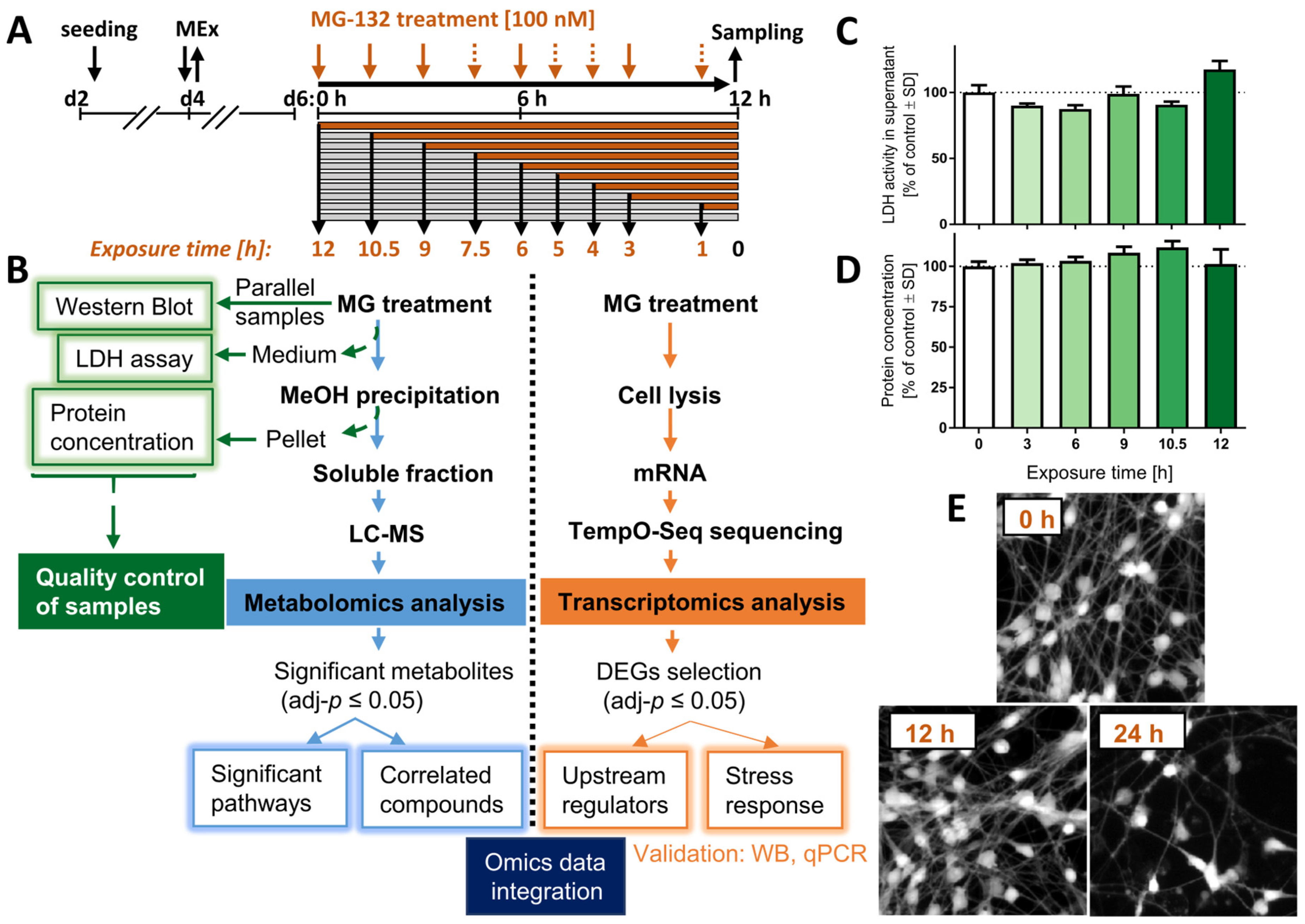 Antioxidants 12 00164 g001