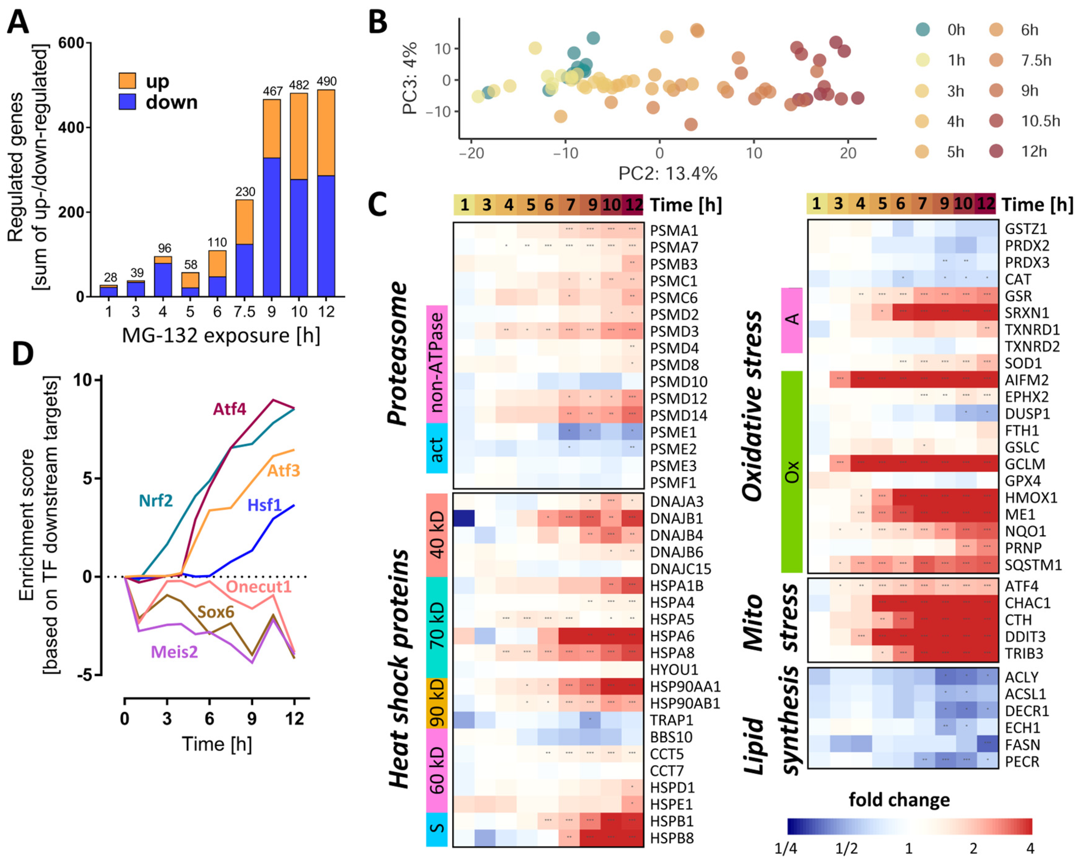 Antioxidants 12 00164 g004