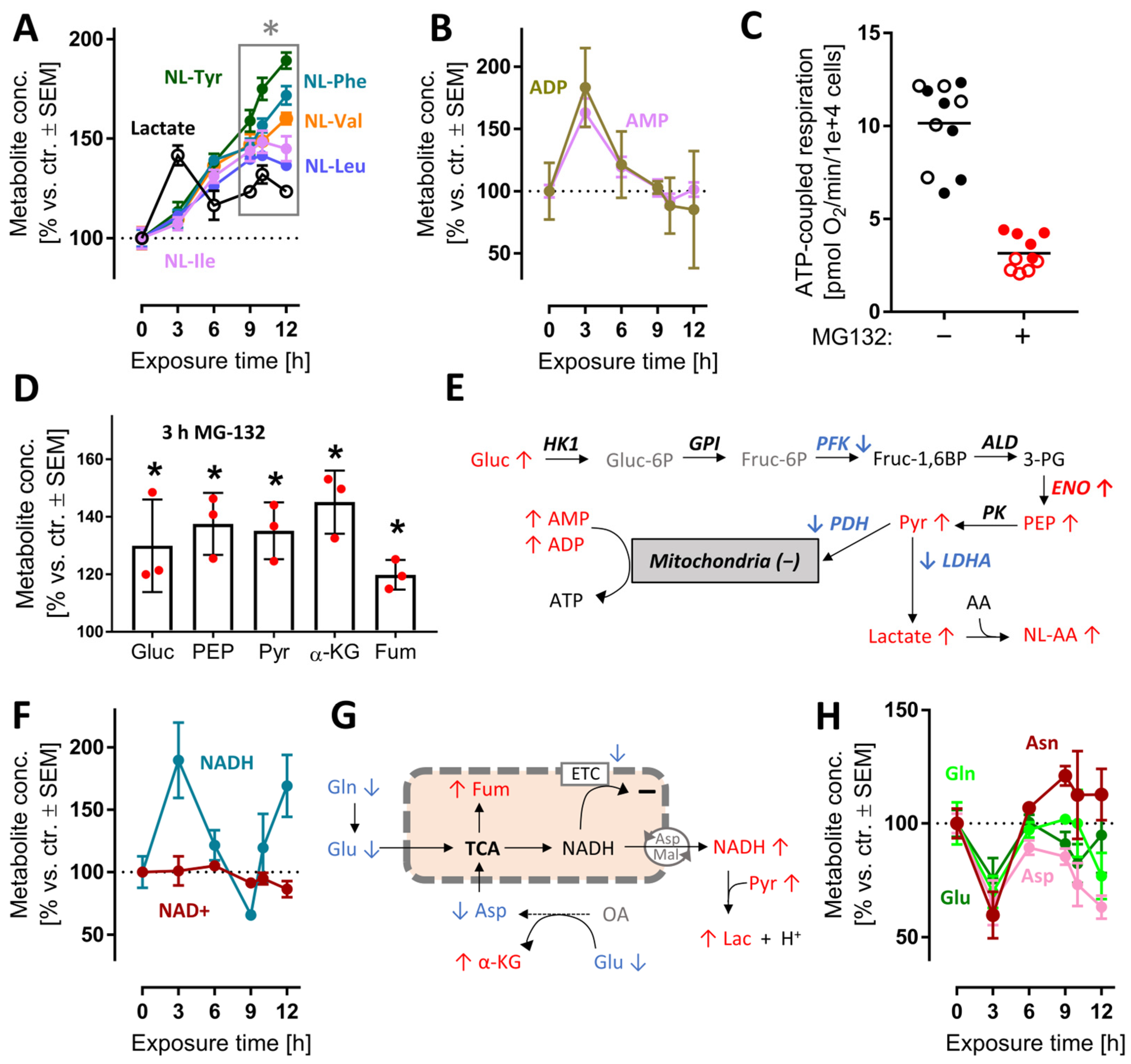 Antioxidants 12 00164 g005
