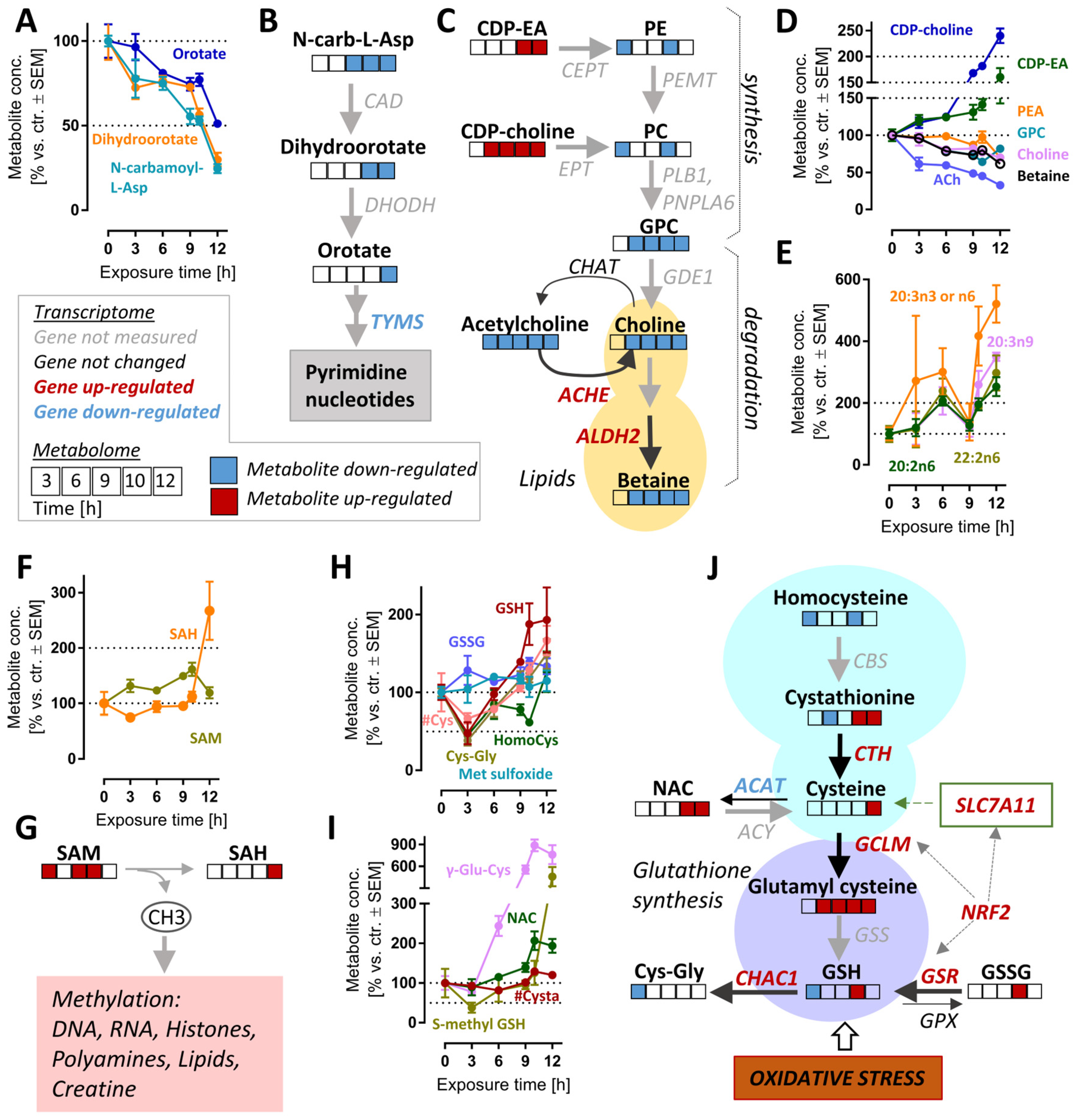 Antioxidants 12 00164 g006