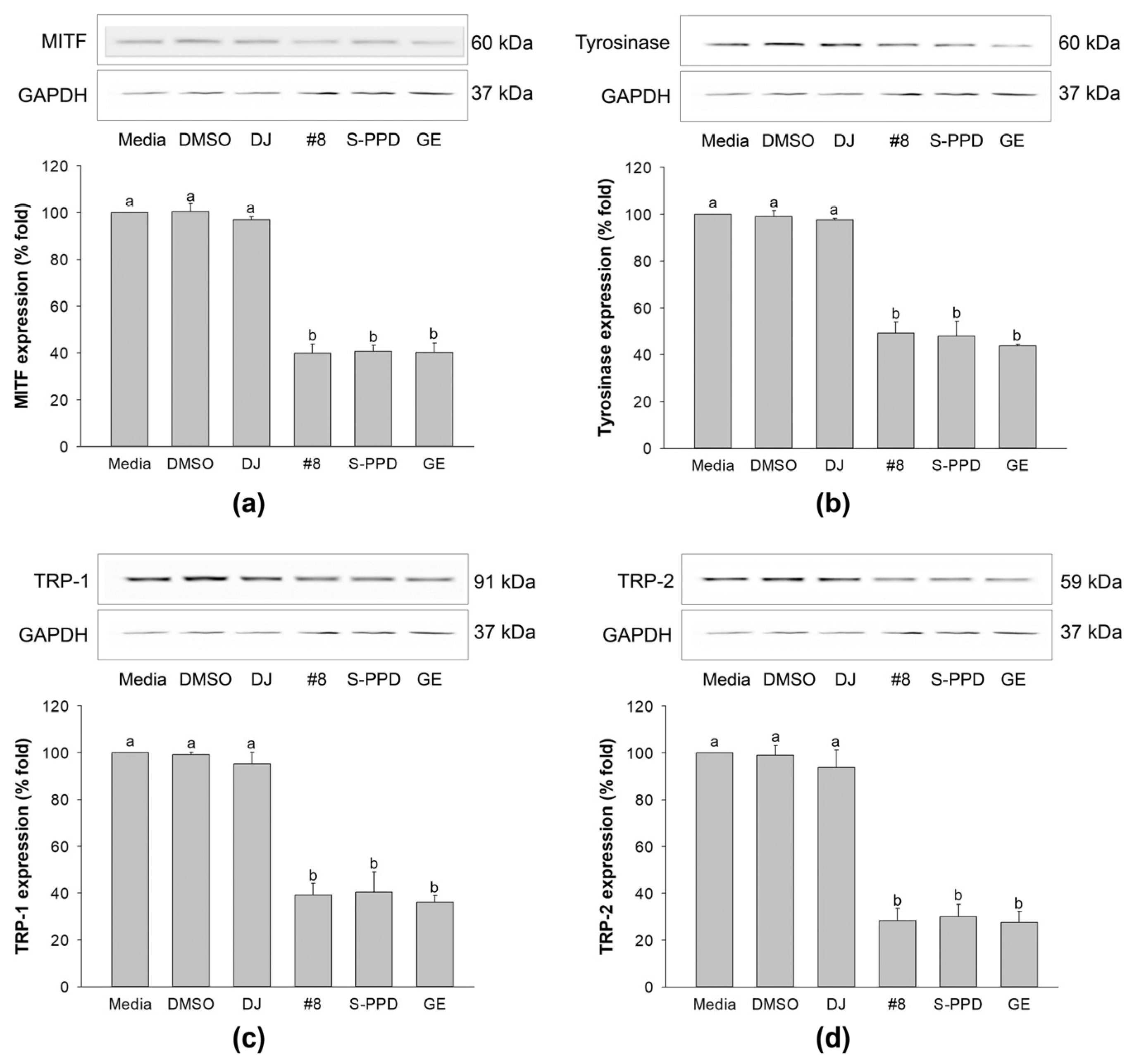 Antioxidants 12 00166 g008