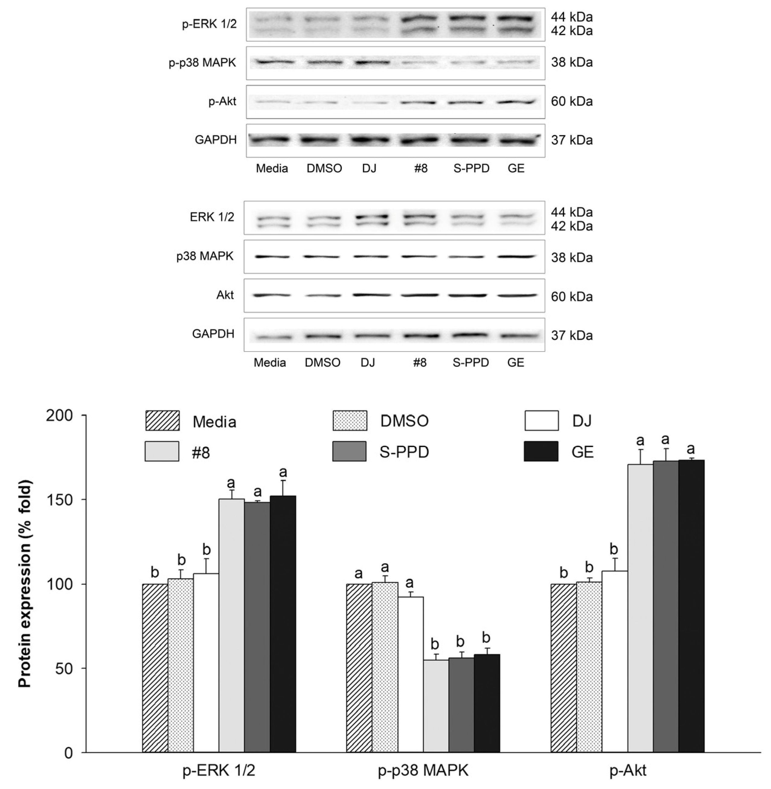 Antioxidants 12 00166 g009