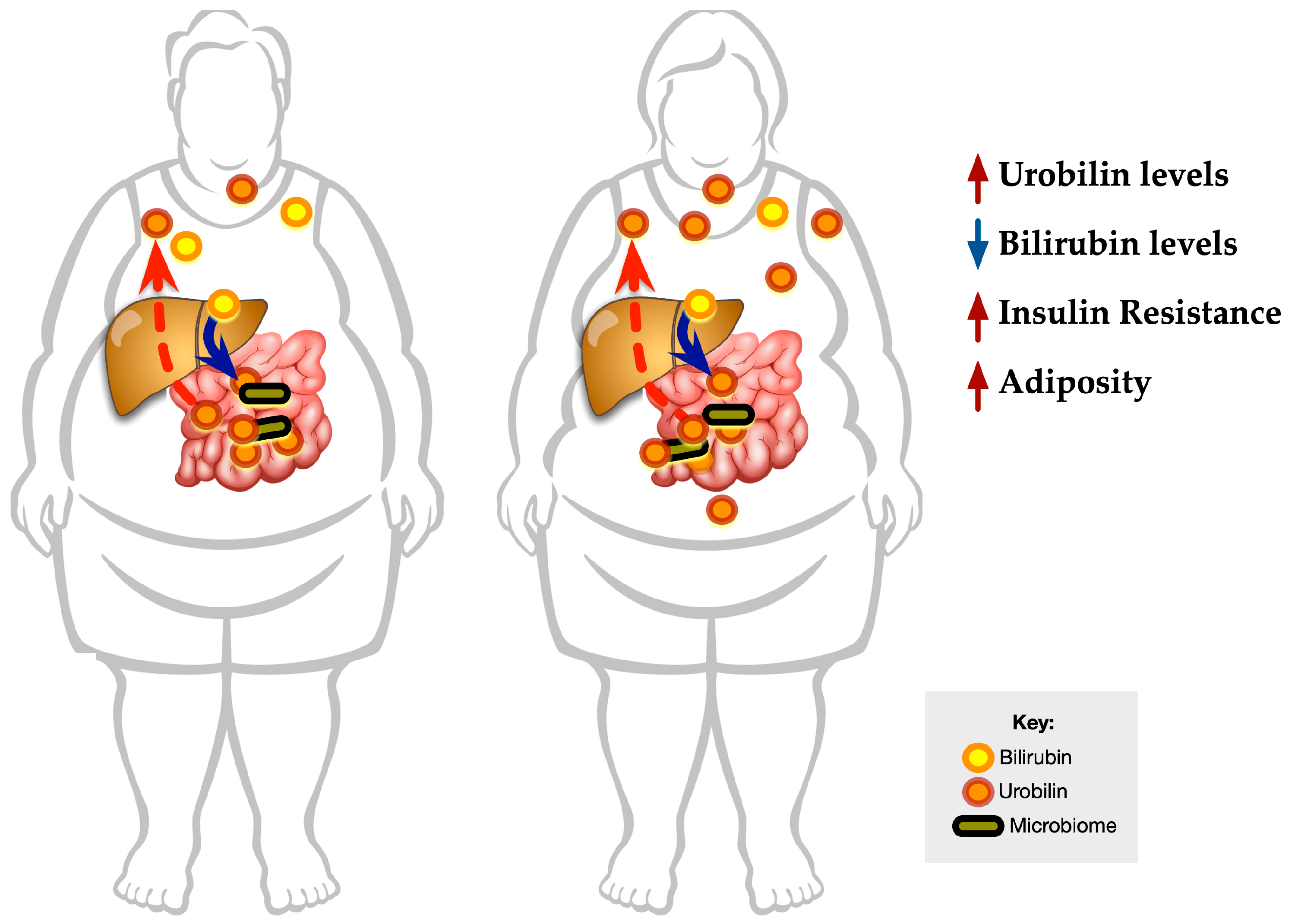 Antioxidants 12 00170 g008