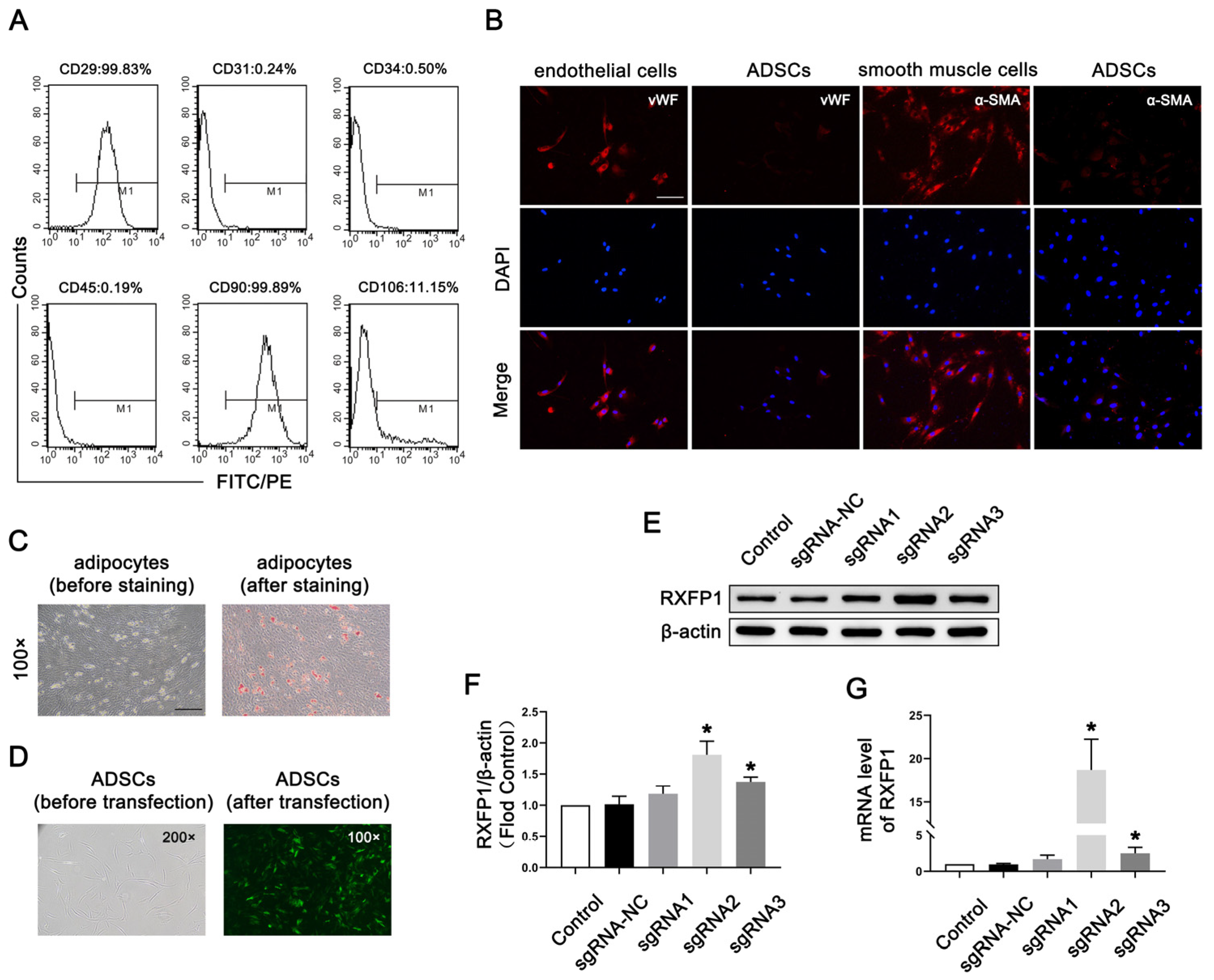 Antioxidants 12 00171 g001