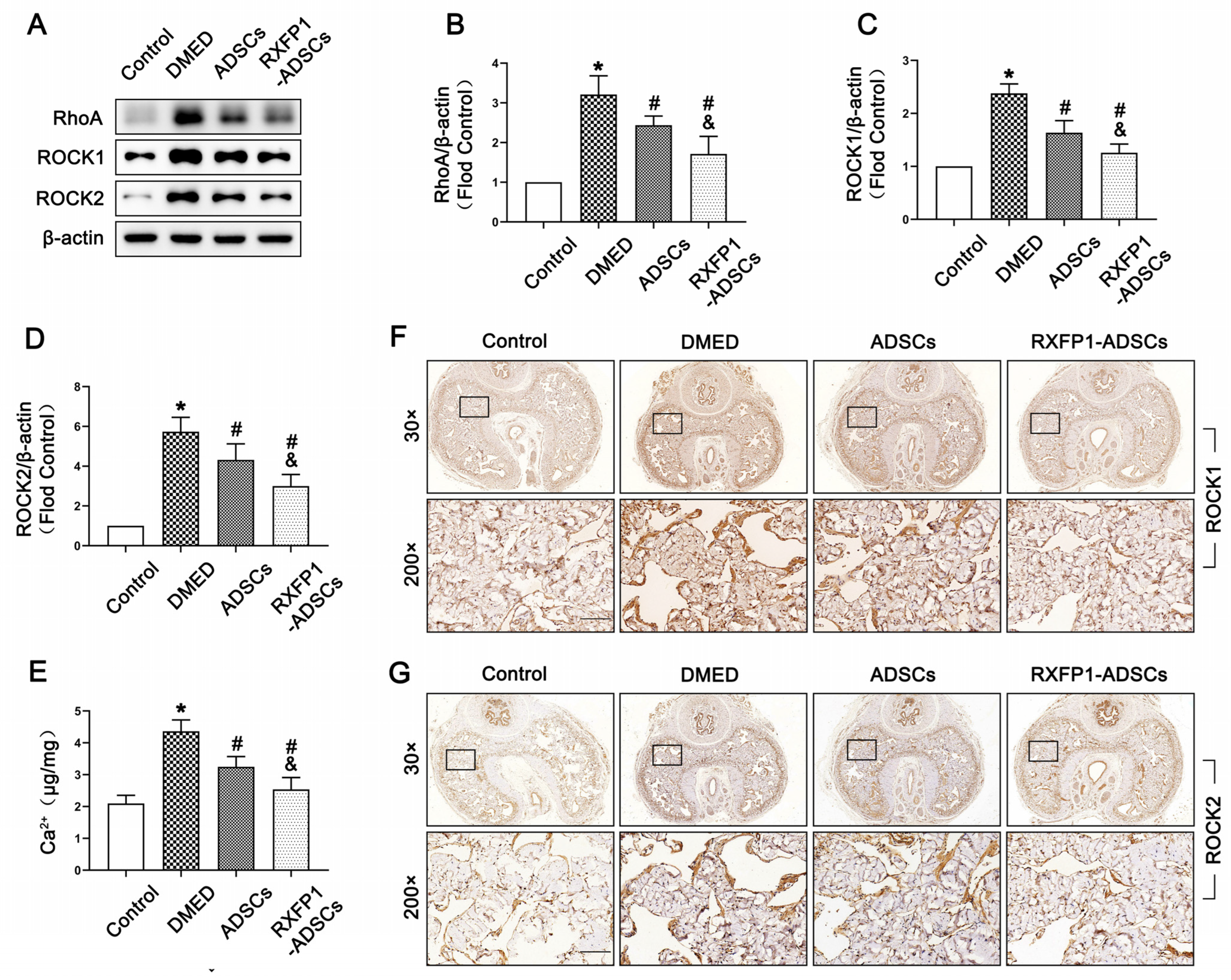 Antioxidants 12 00171 g006