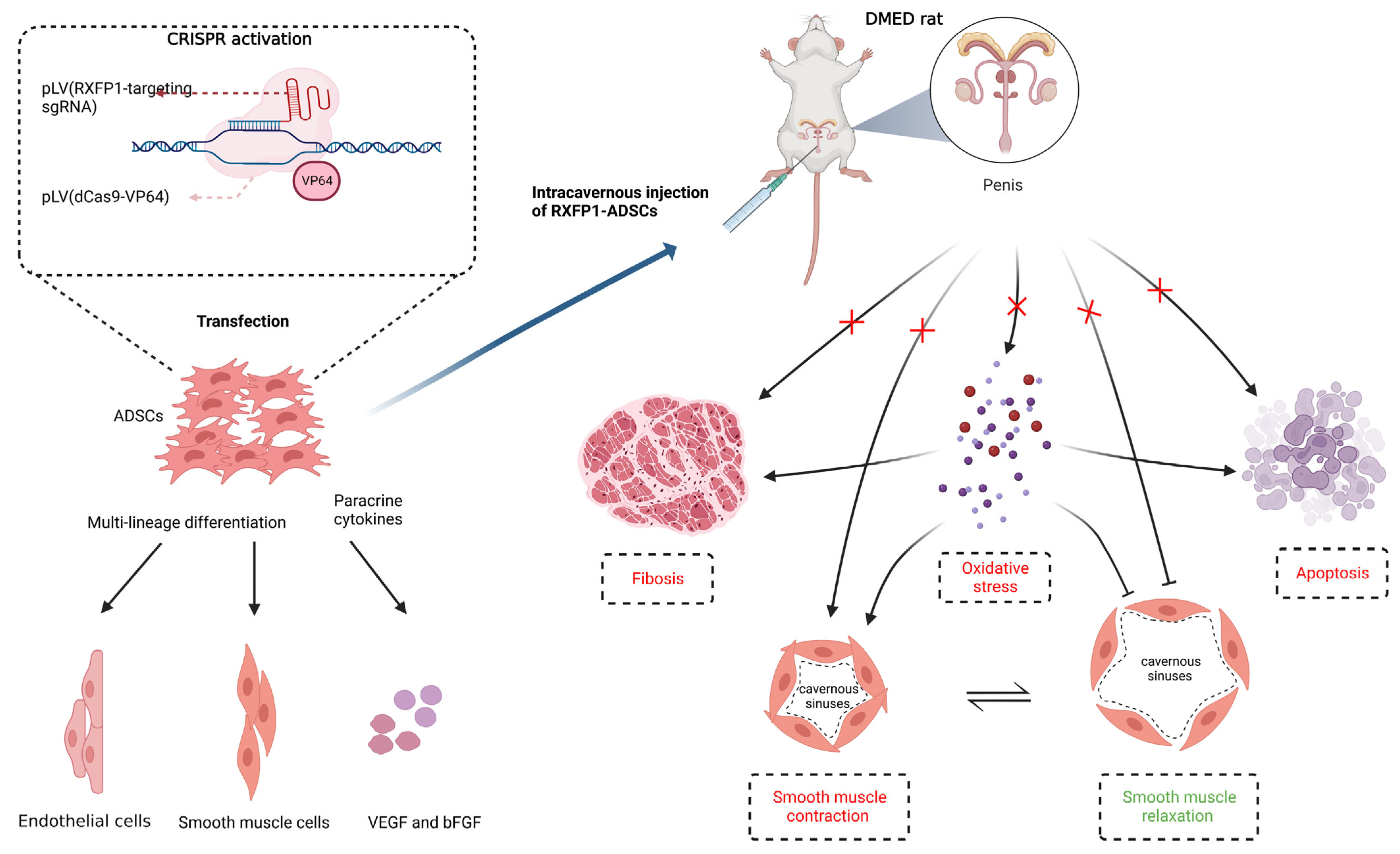 Antioxidants 12 00171 g009