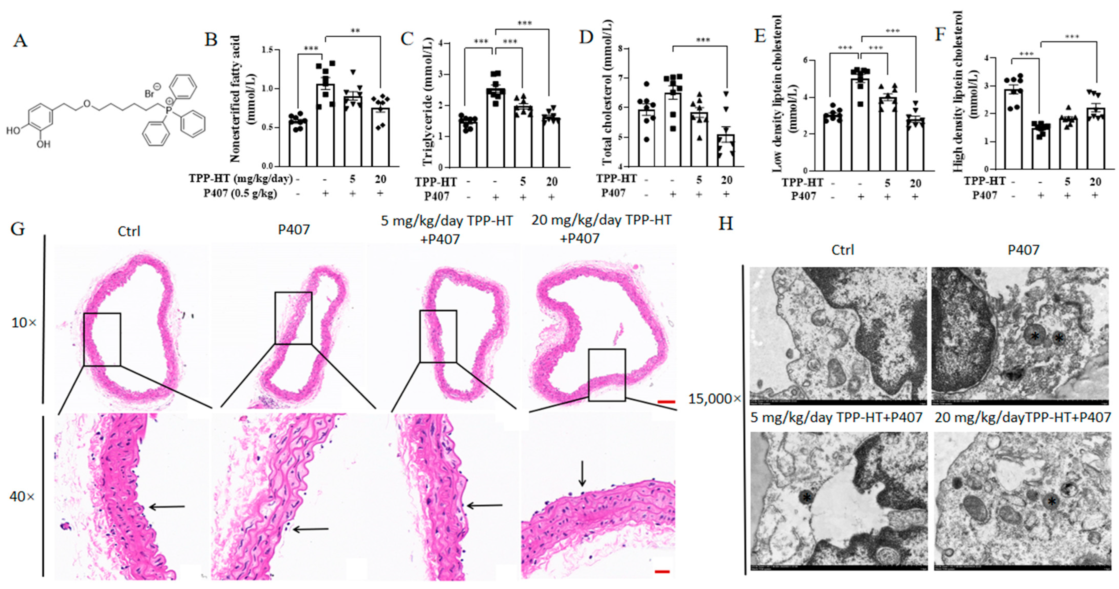 Antioxidants 12 00175 g001 Antioxidants 12 00175 g001