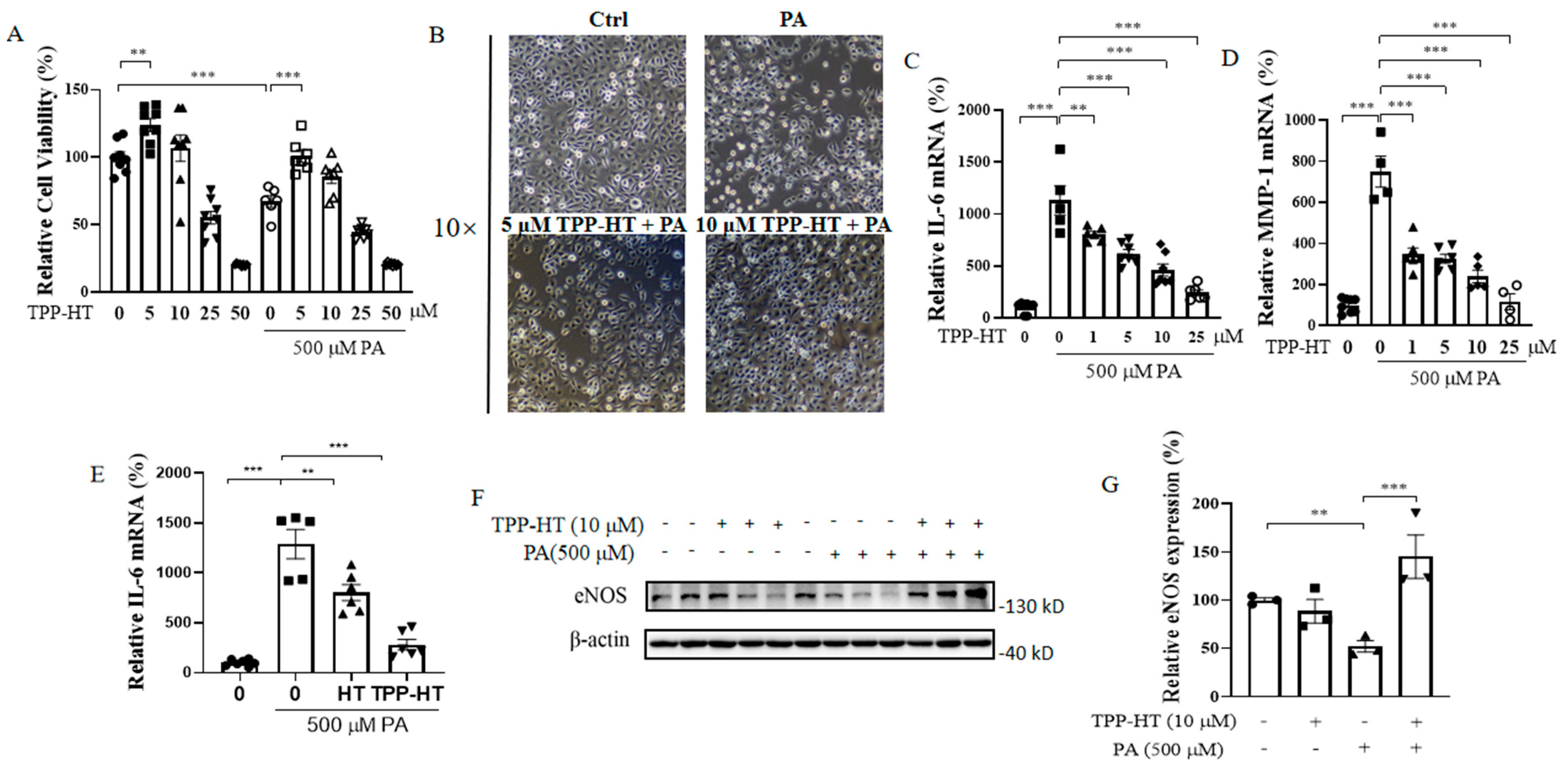 Antioxidants 12 00175 g002 Antioxidants 12 00175 g002