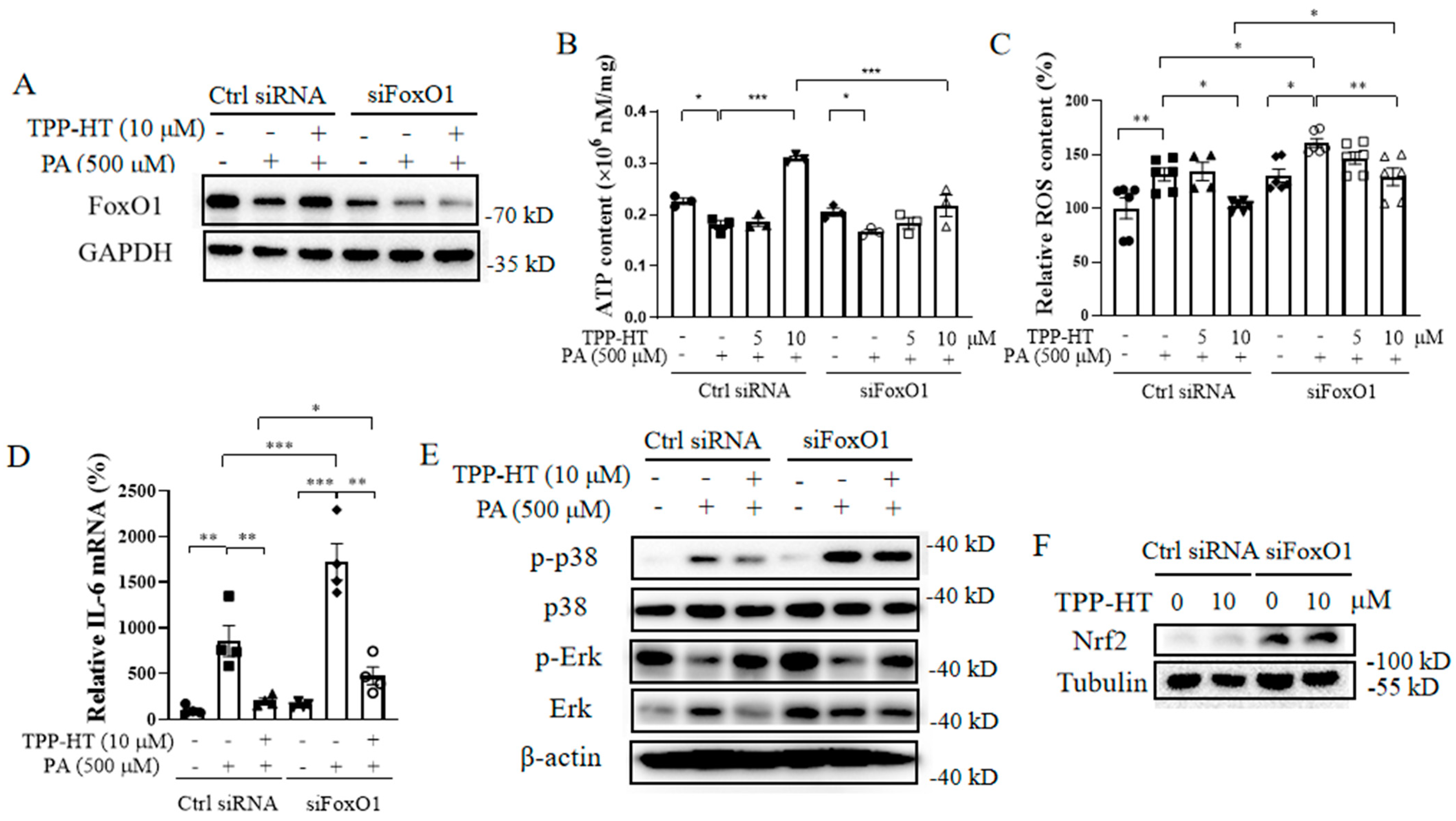 Antioxidants 12 00175 g005 Antioxidants 12 00175 g005
