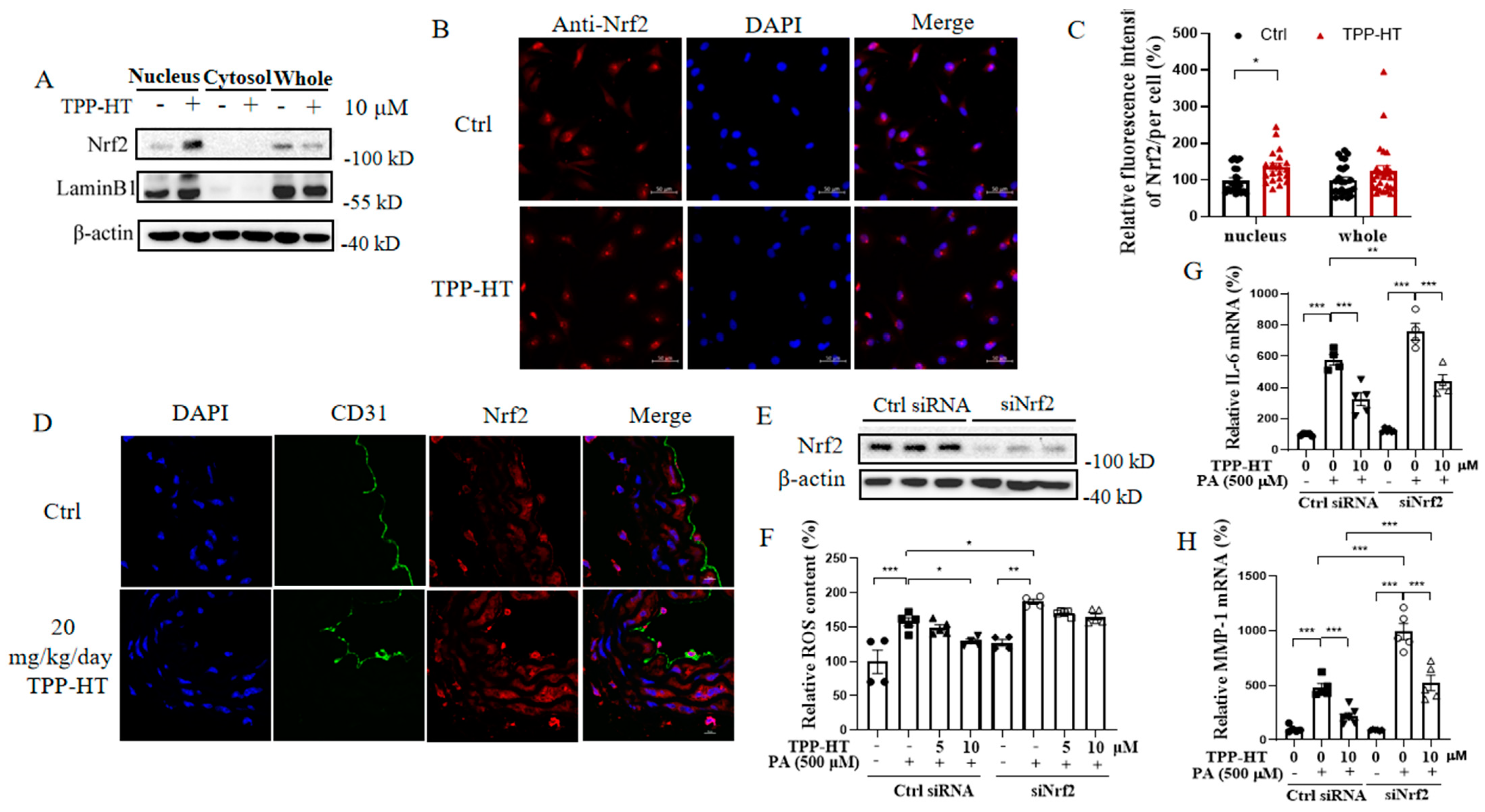 Antioxidants 12 00175 g006 Antioxidants 12 00175 g006