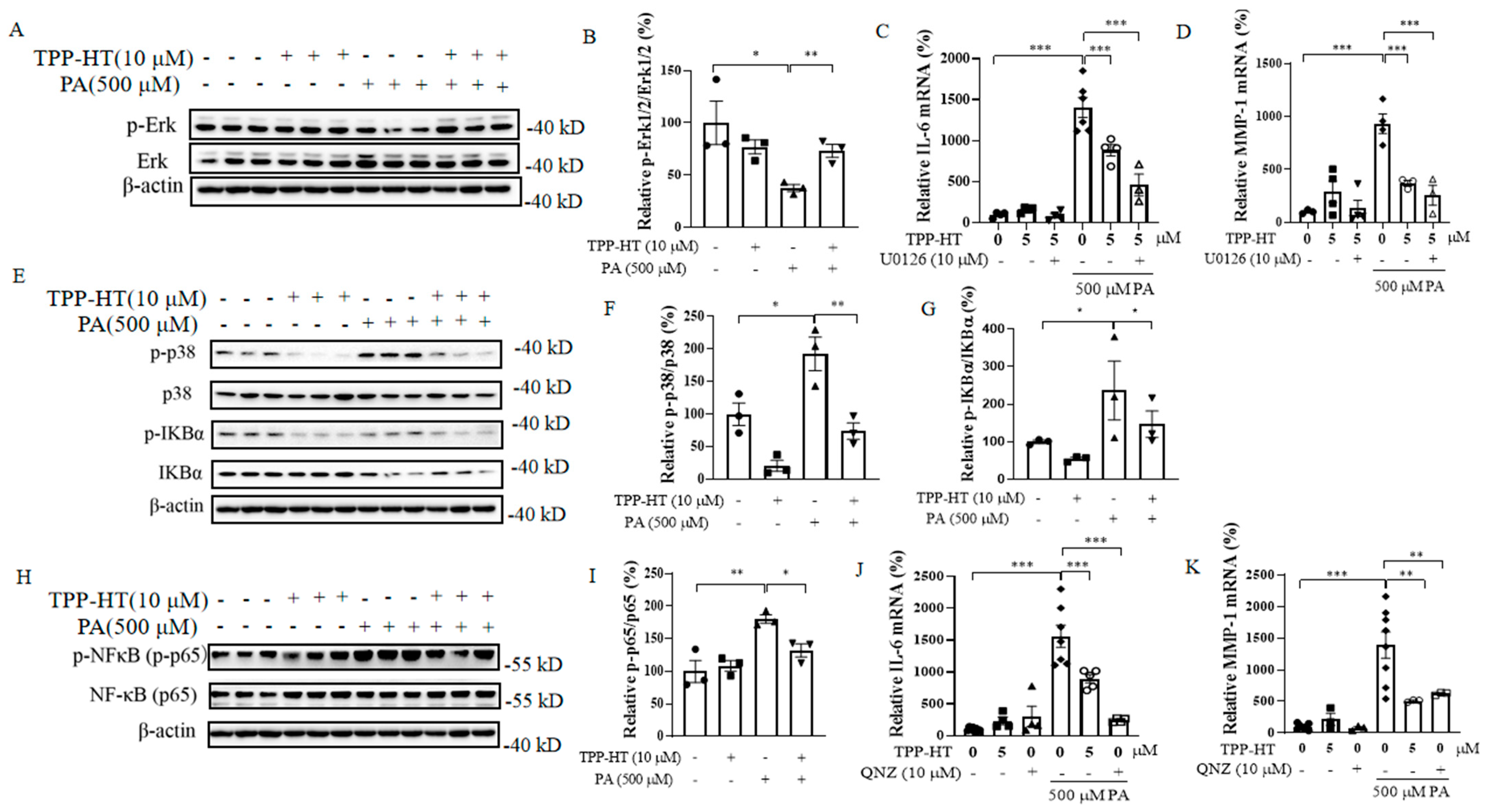 Antioxidants 12 00175 g007 Antioxidants 12 00175 g007