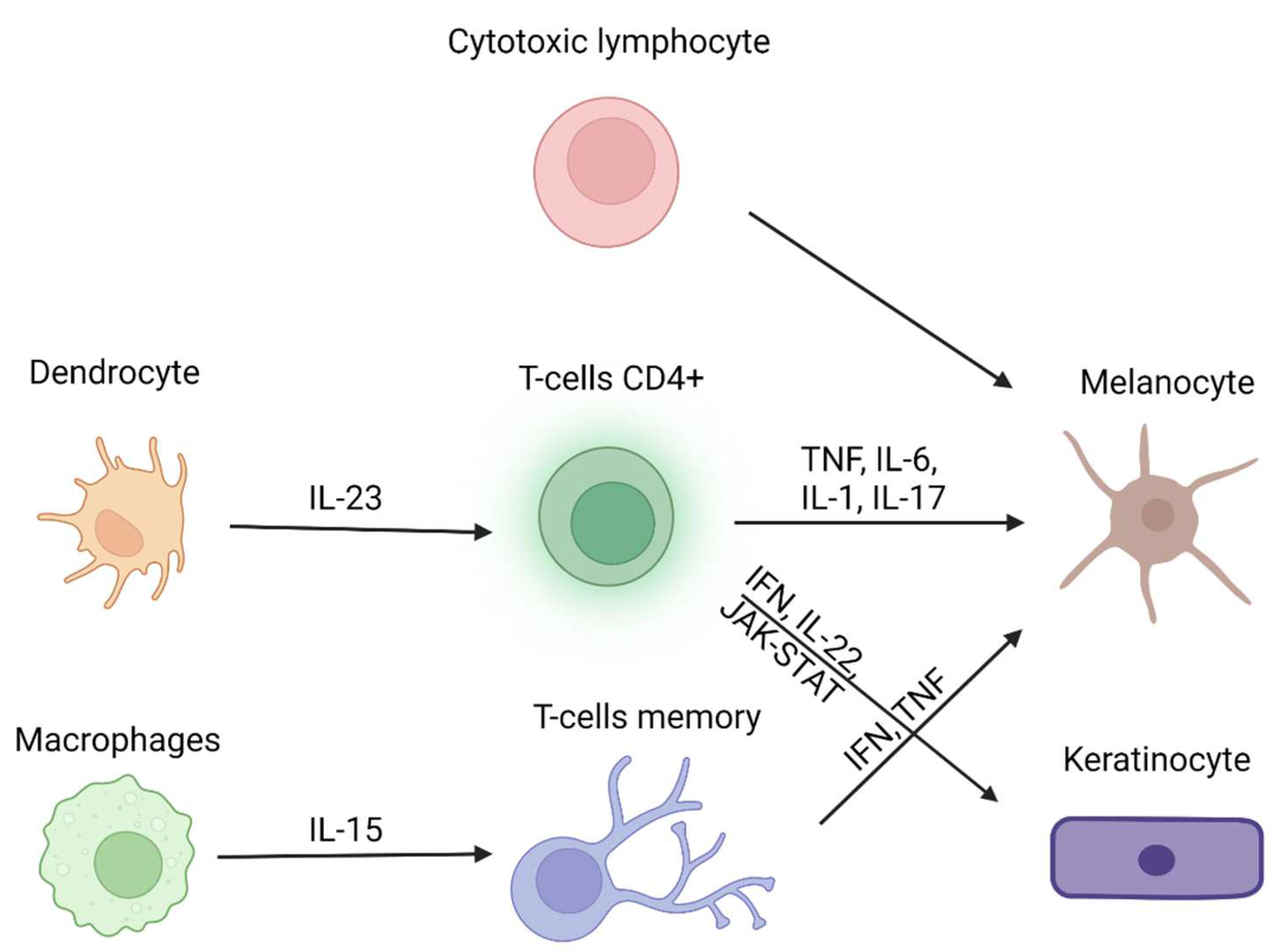 Antioxidants 12 00176 g001