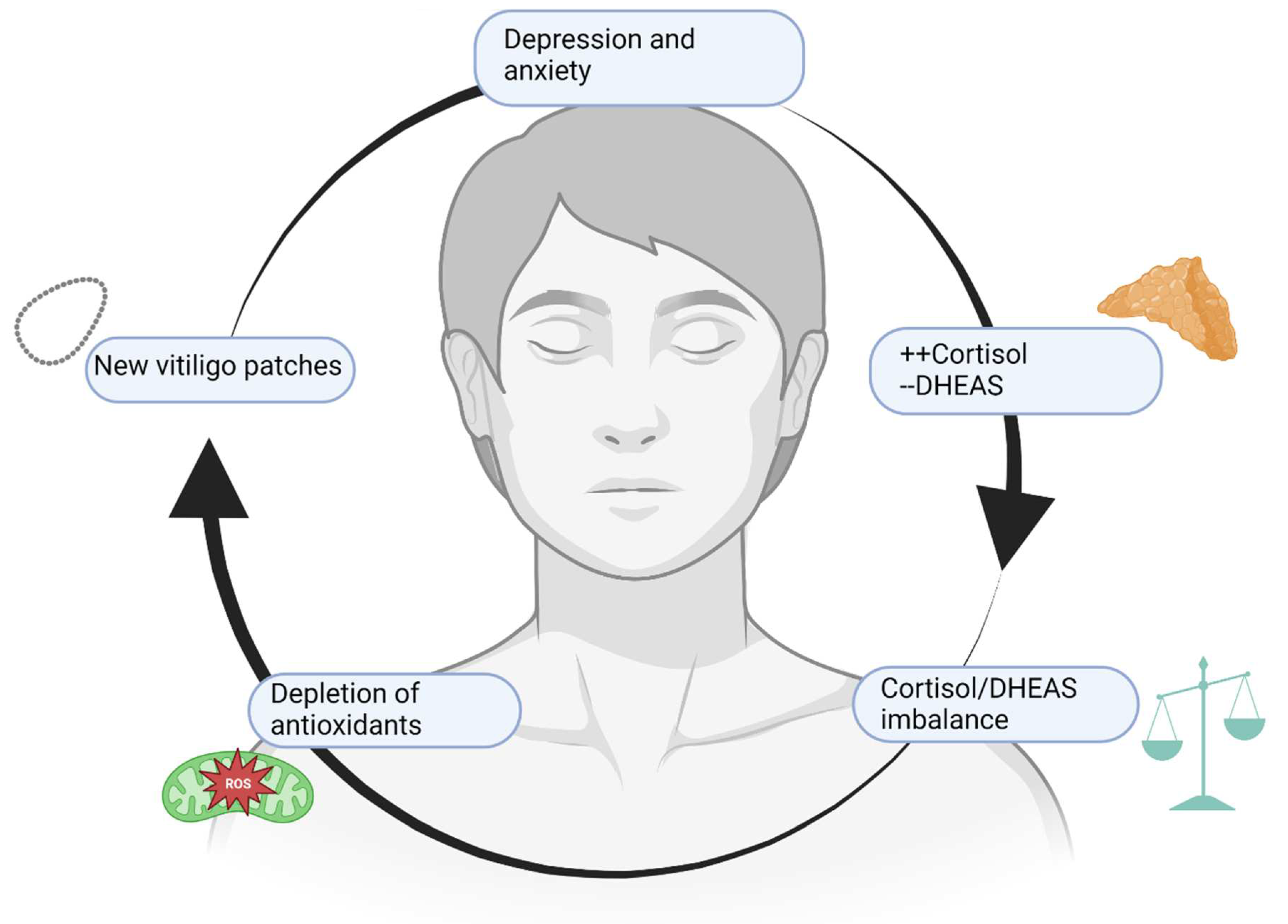 Antioxidants 12 00176 g002