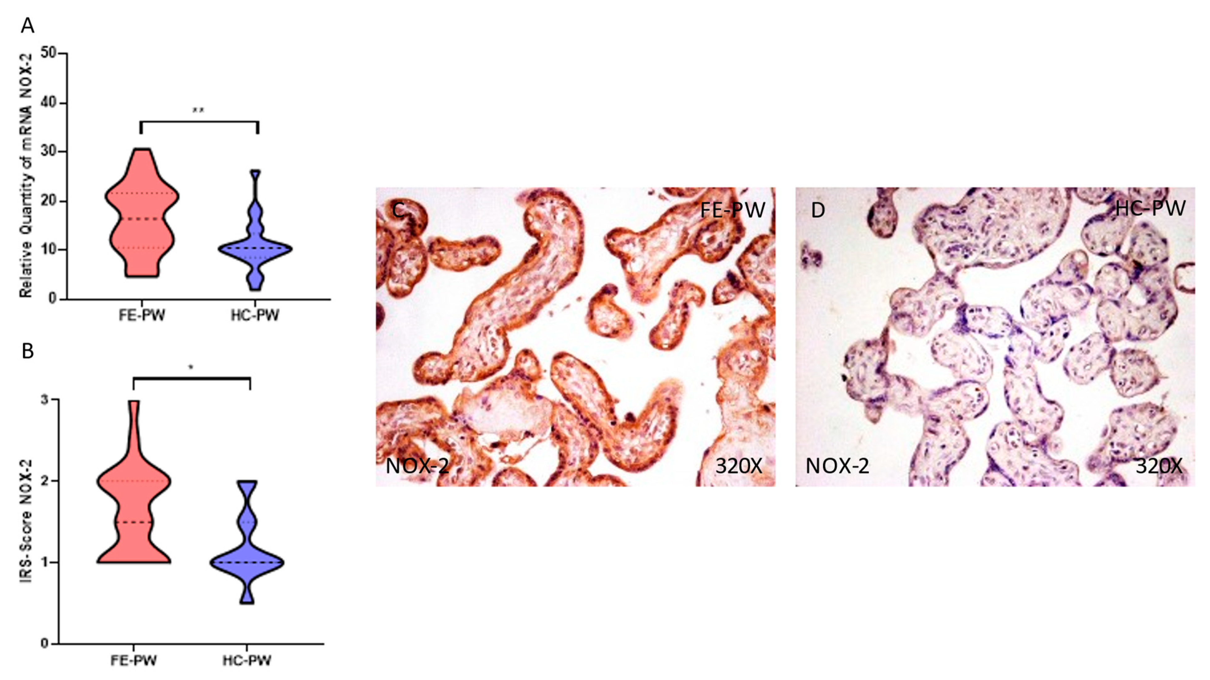 Antioxidants 12 00179 g002