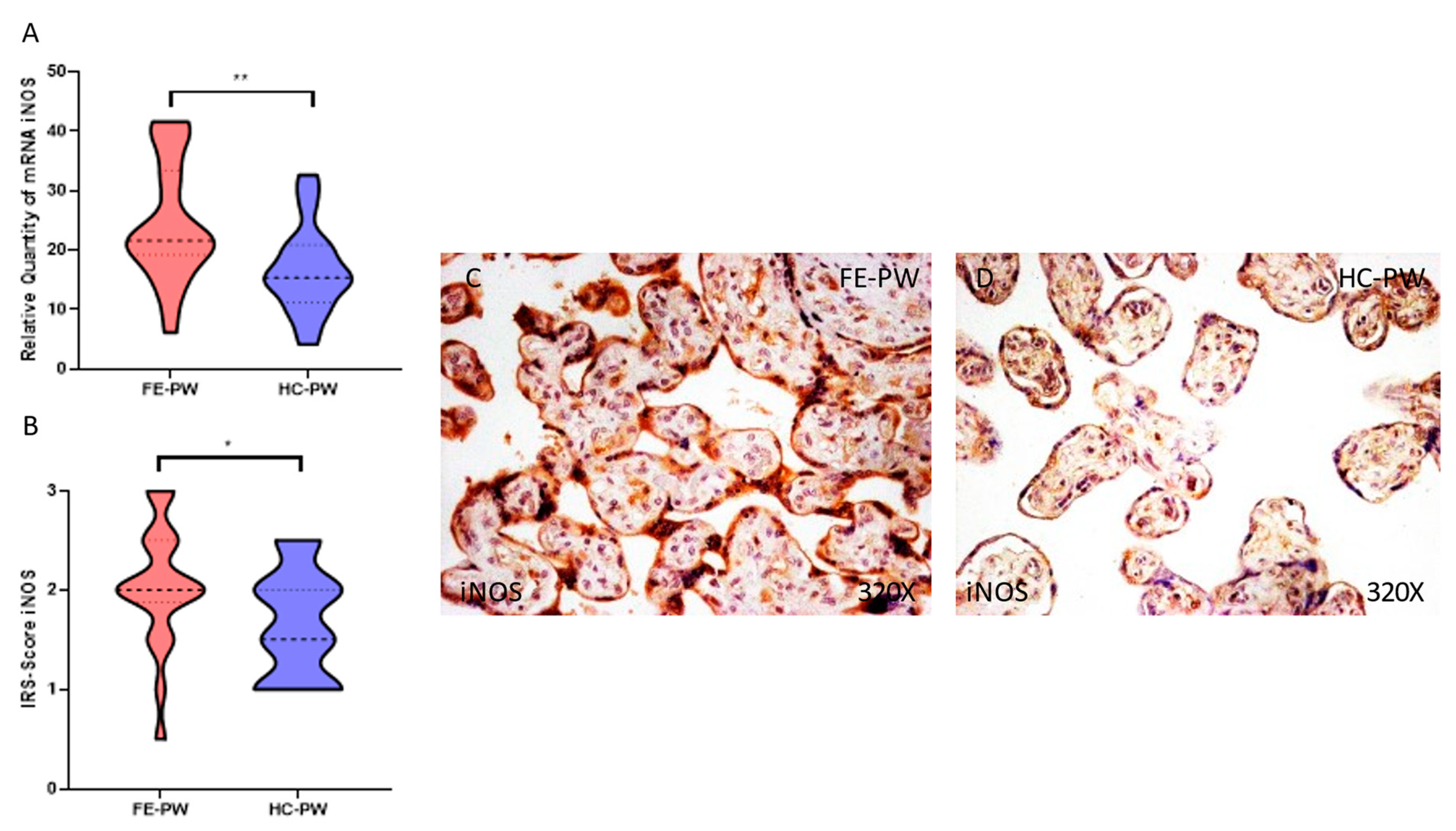 Antioxidants 12 00179 g003