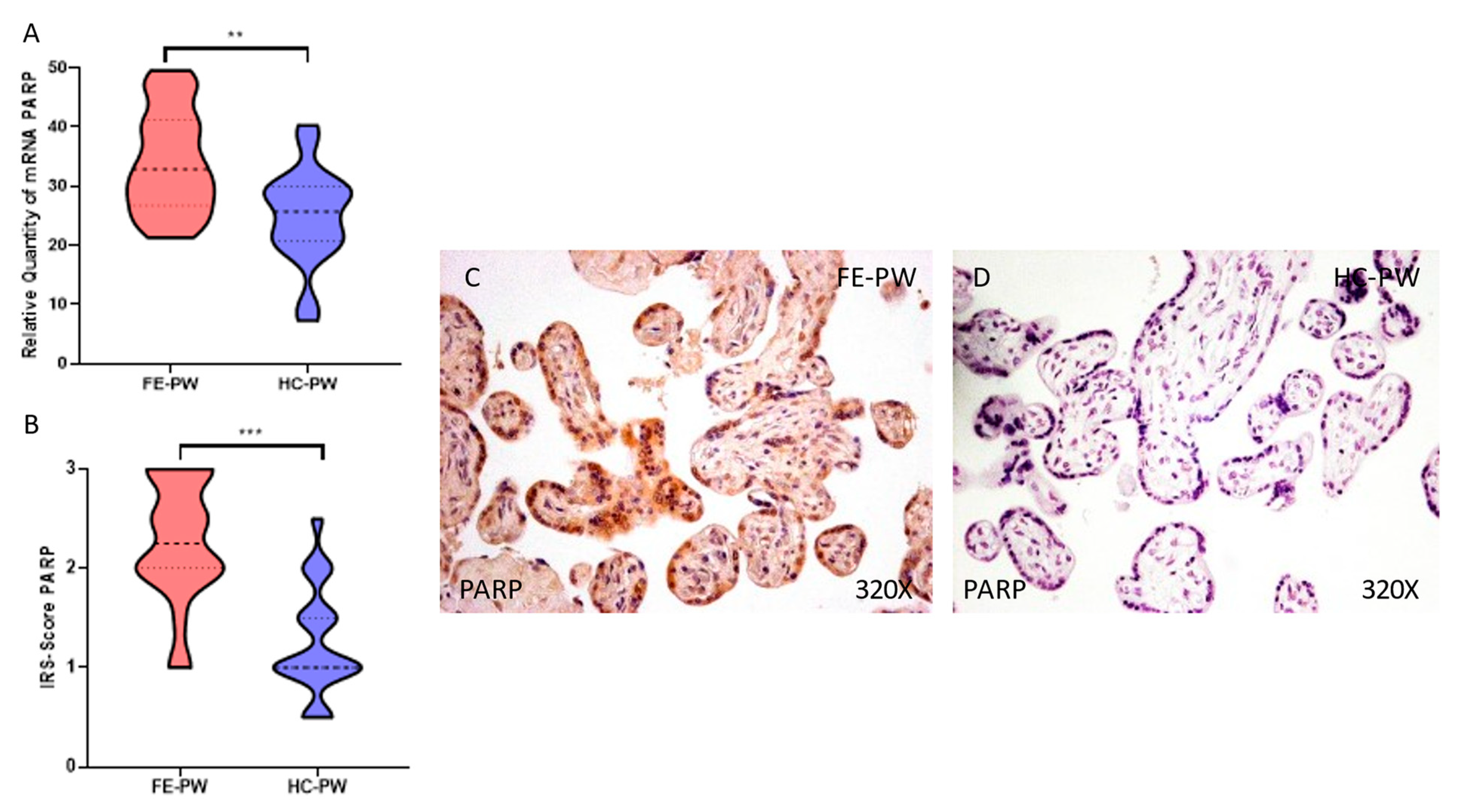 Antioxidants 12 00179 g005