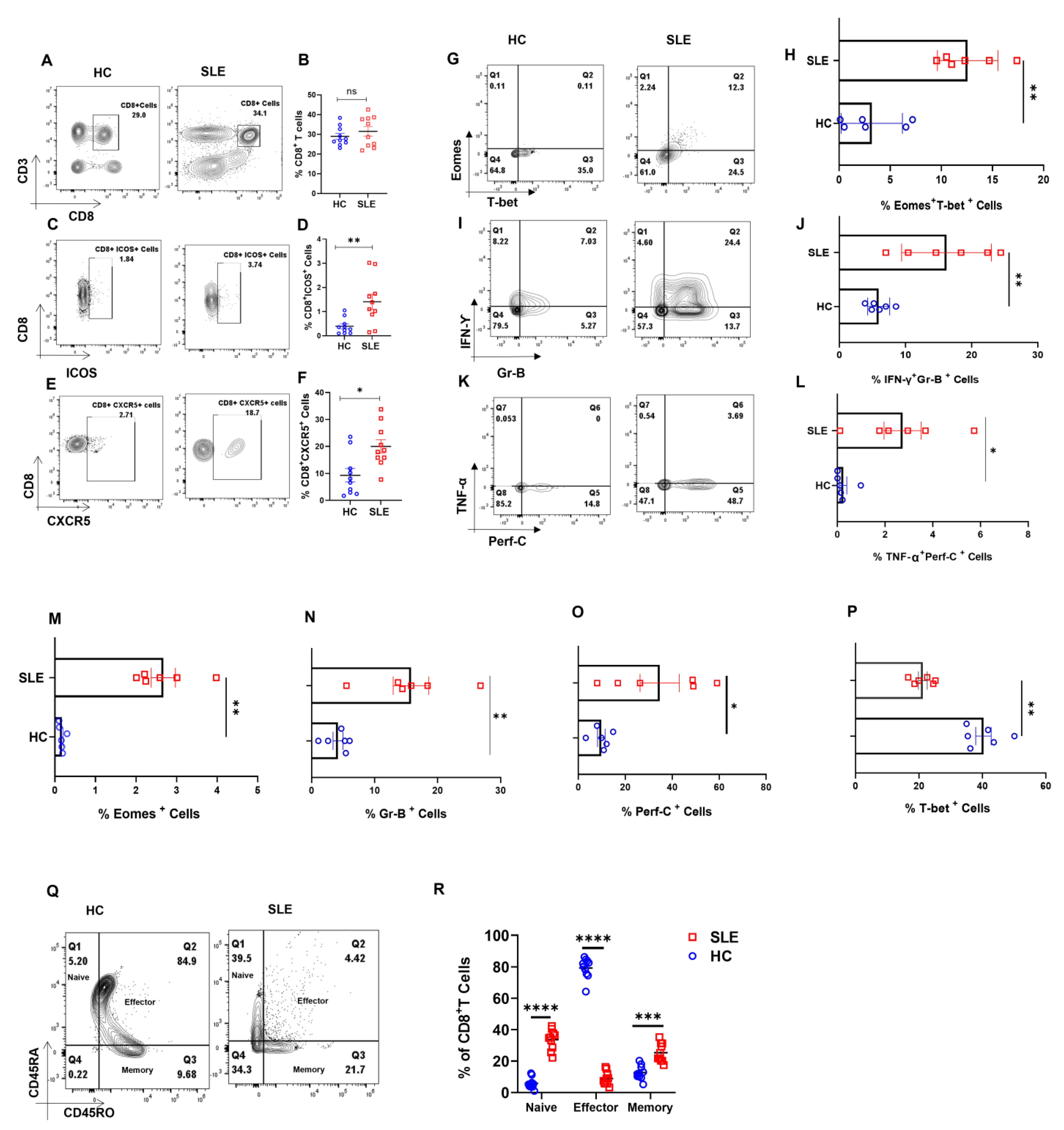 Antioxidants 12 00181 g001