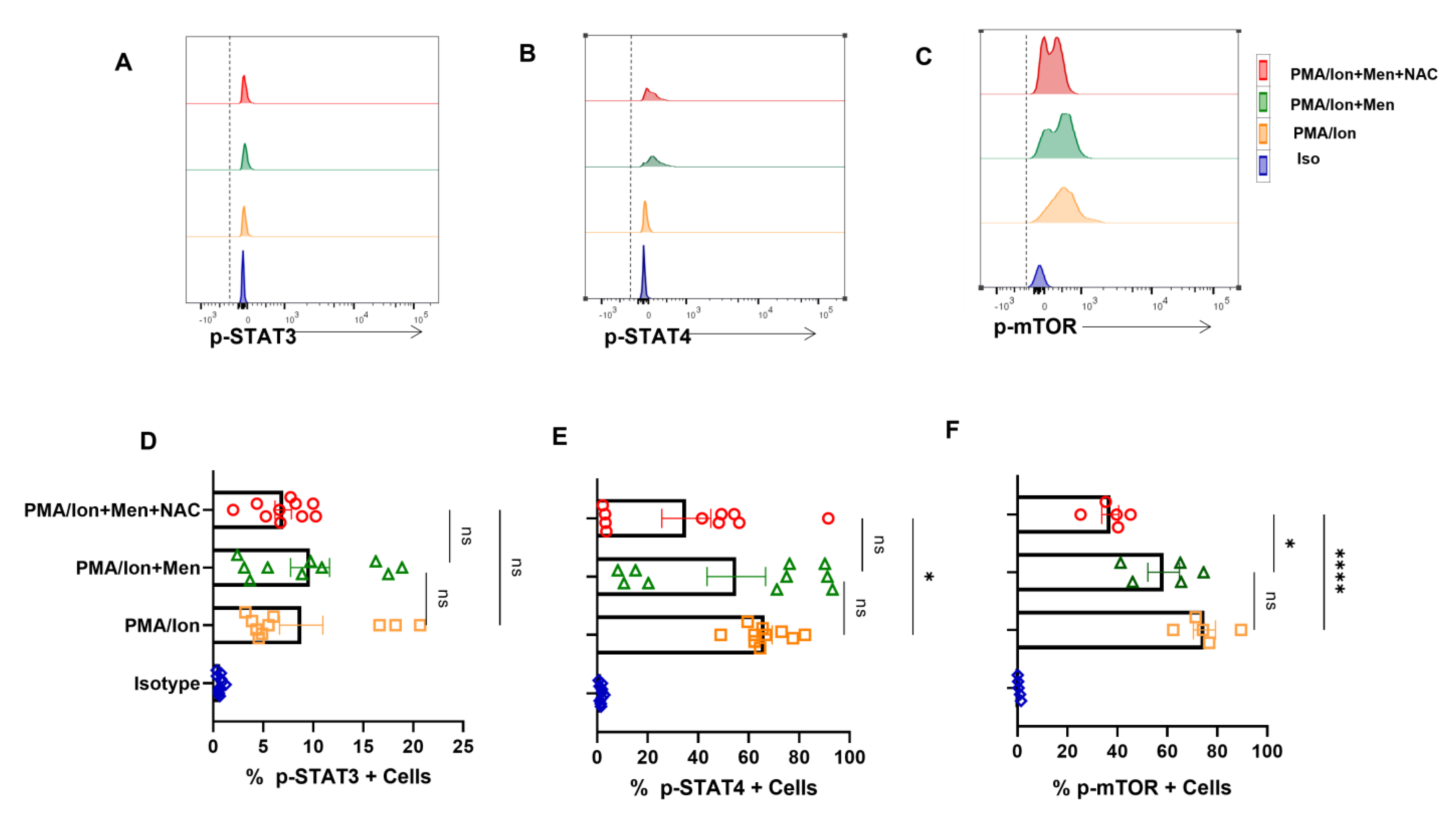 Antioxidants 12 00181 g005