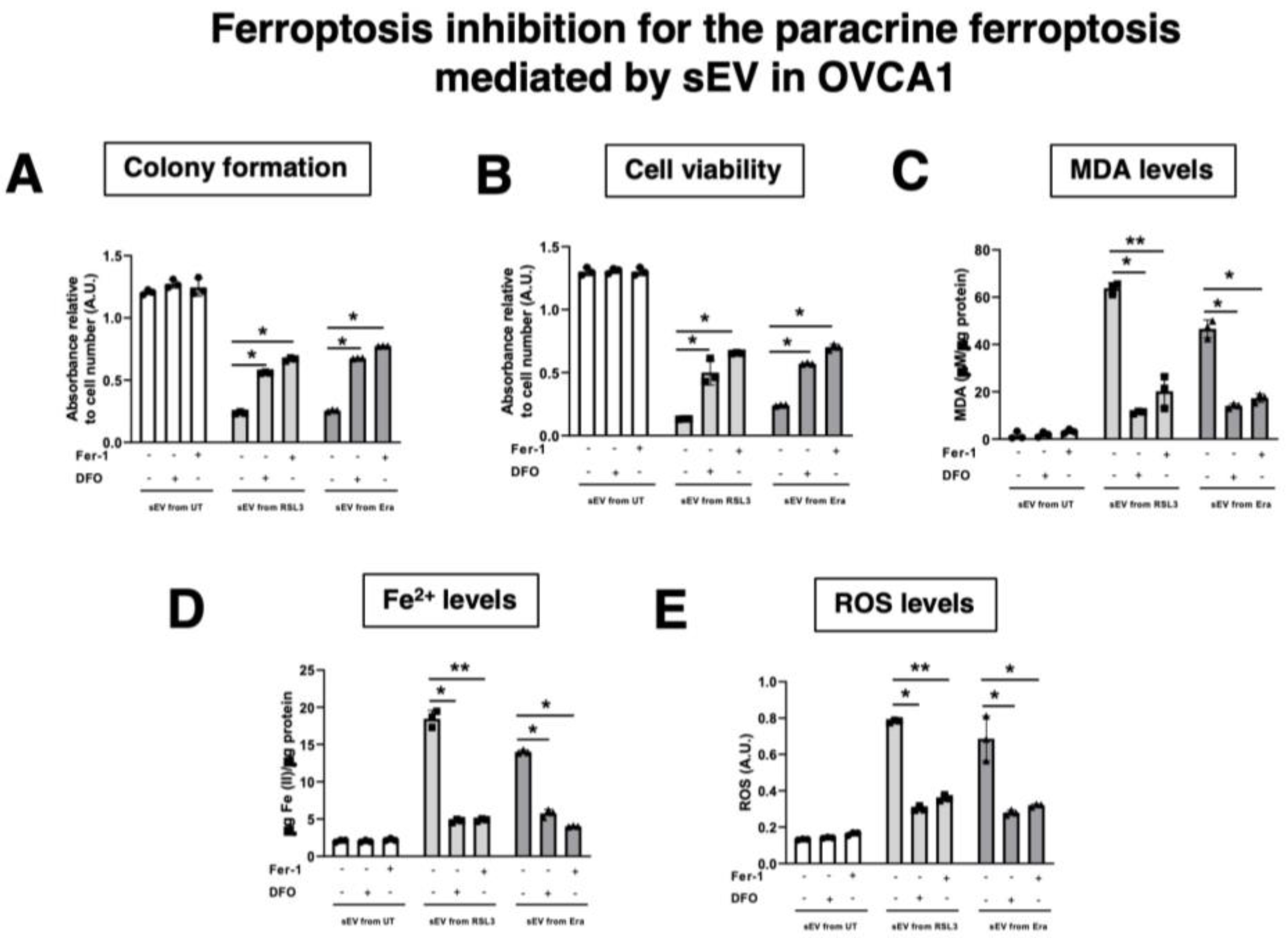 Antioxidants 12 00183 g010