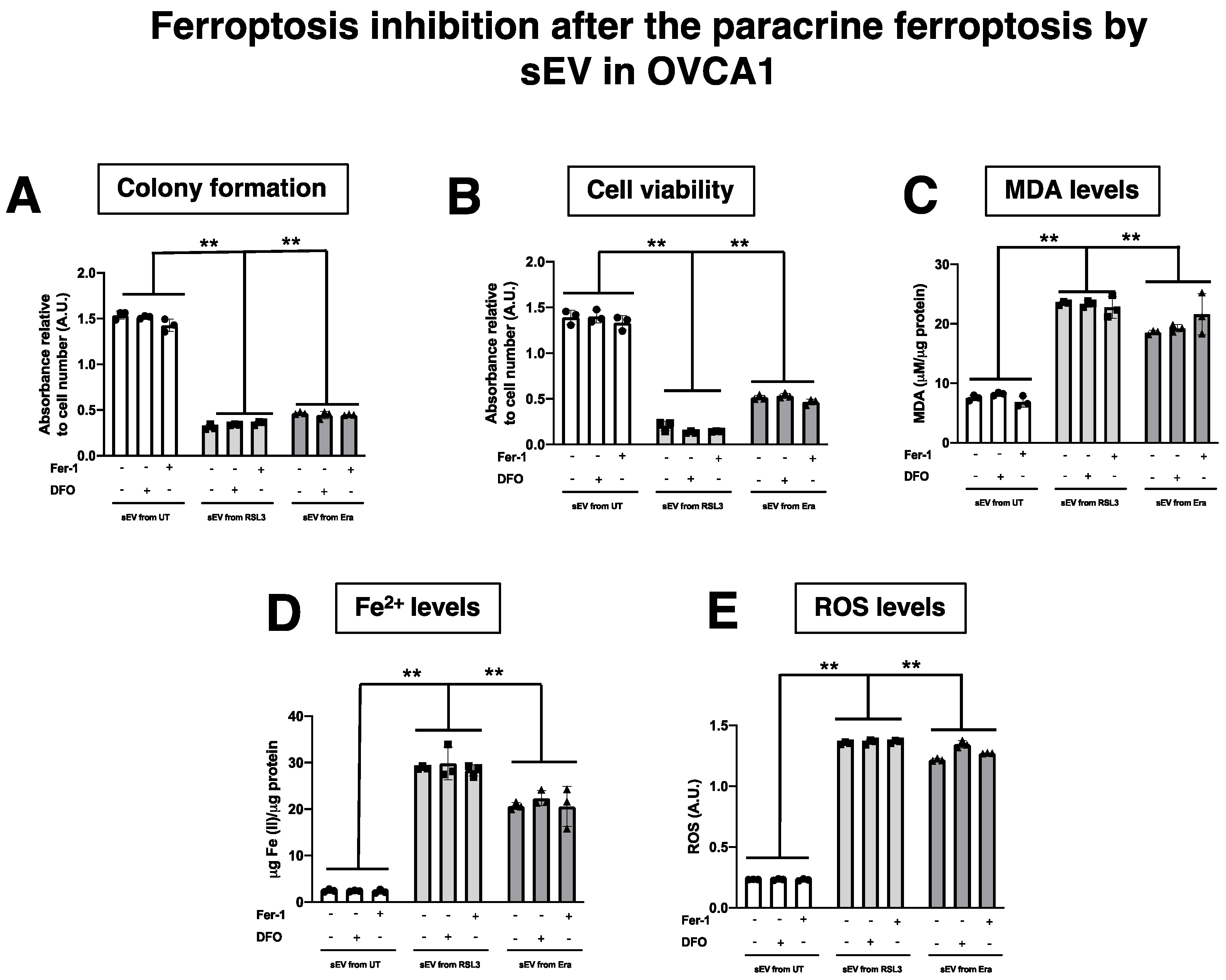 Antioxidants 12 00183 g012