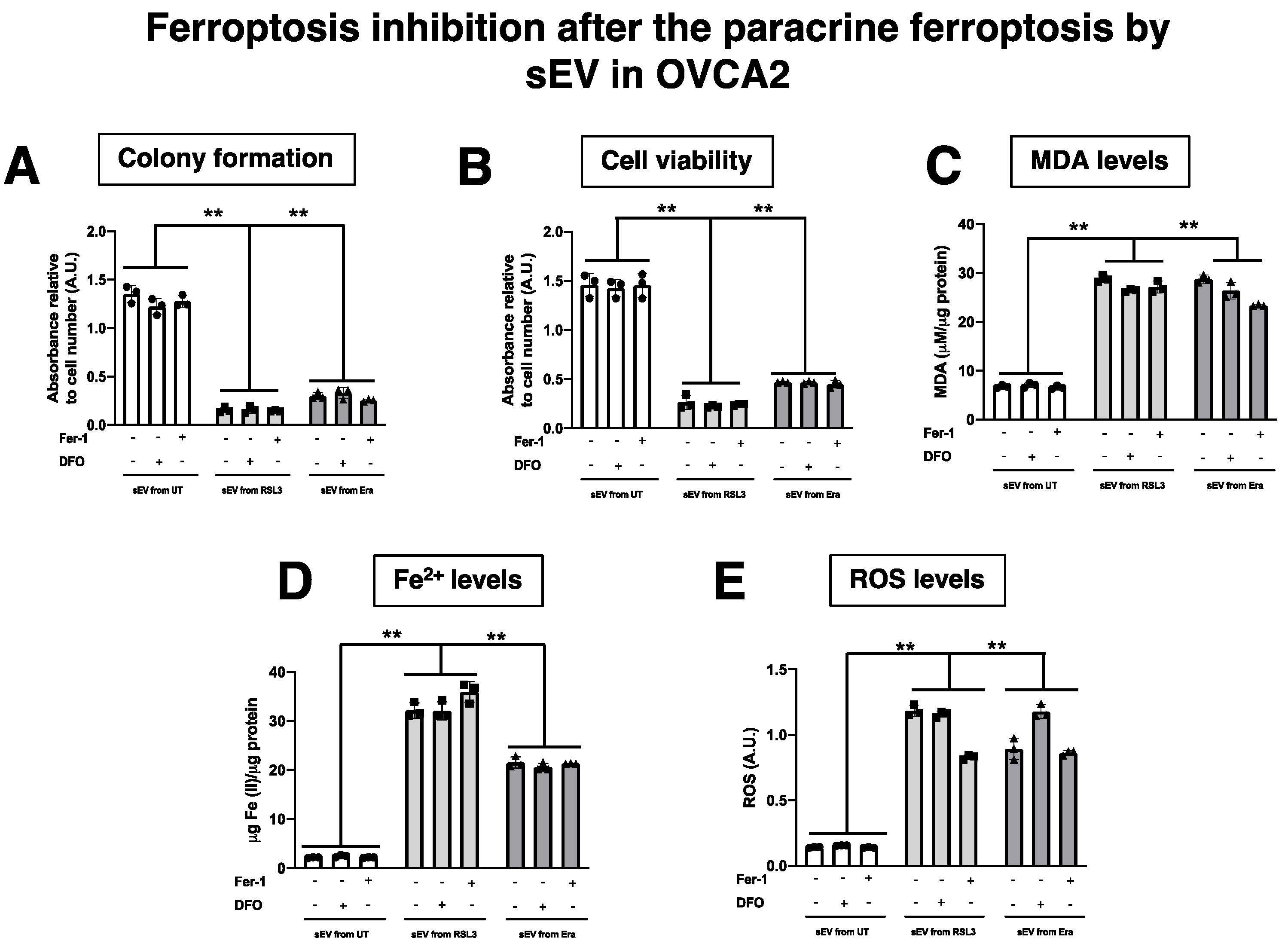 Antioxidants 12 00183 g0a6
