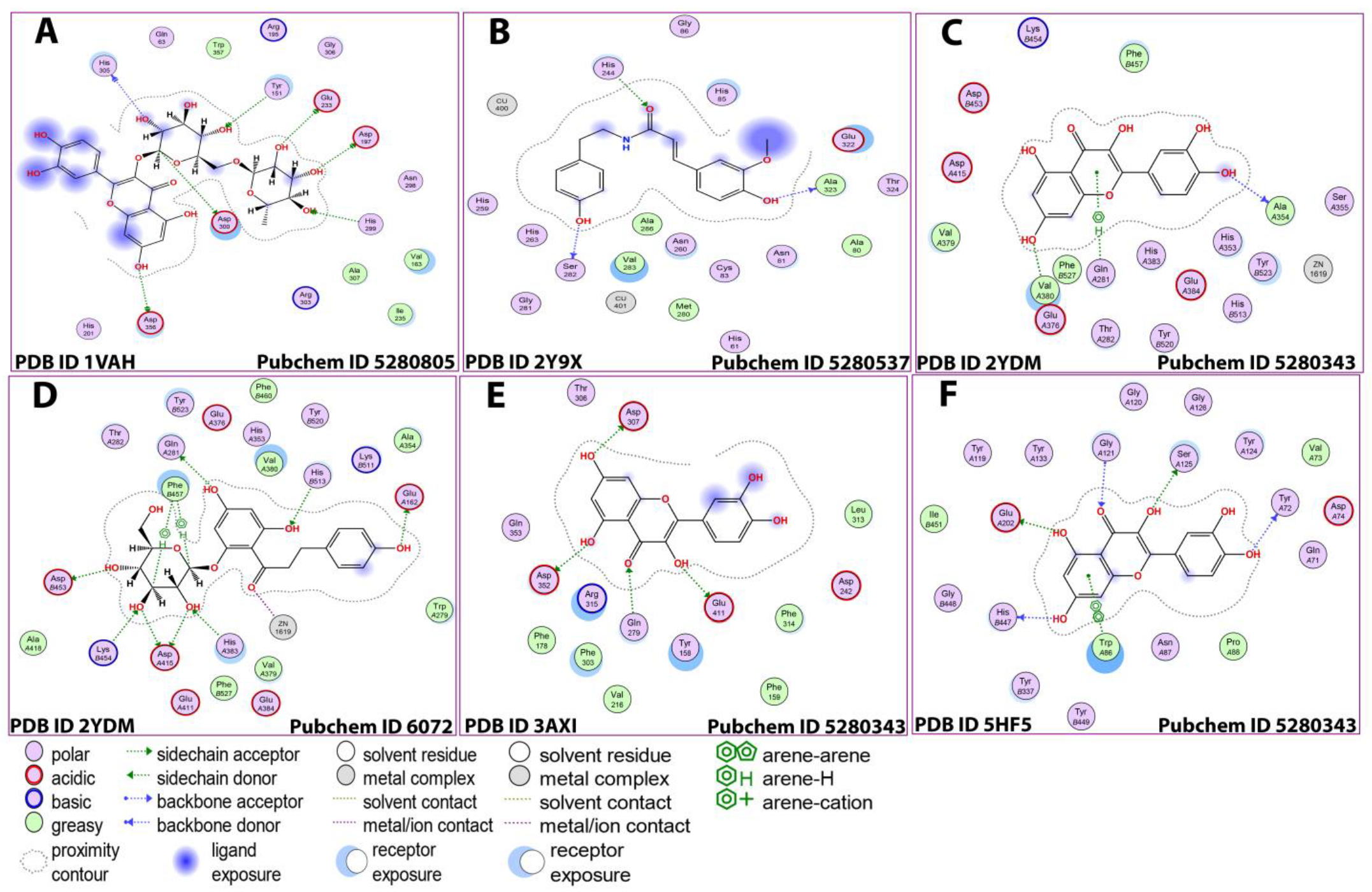 Antioxidants 12 00184 g005 Antioxidants 12 00184 g005