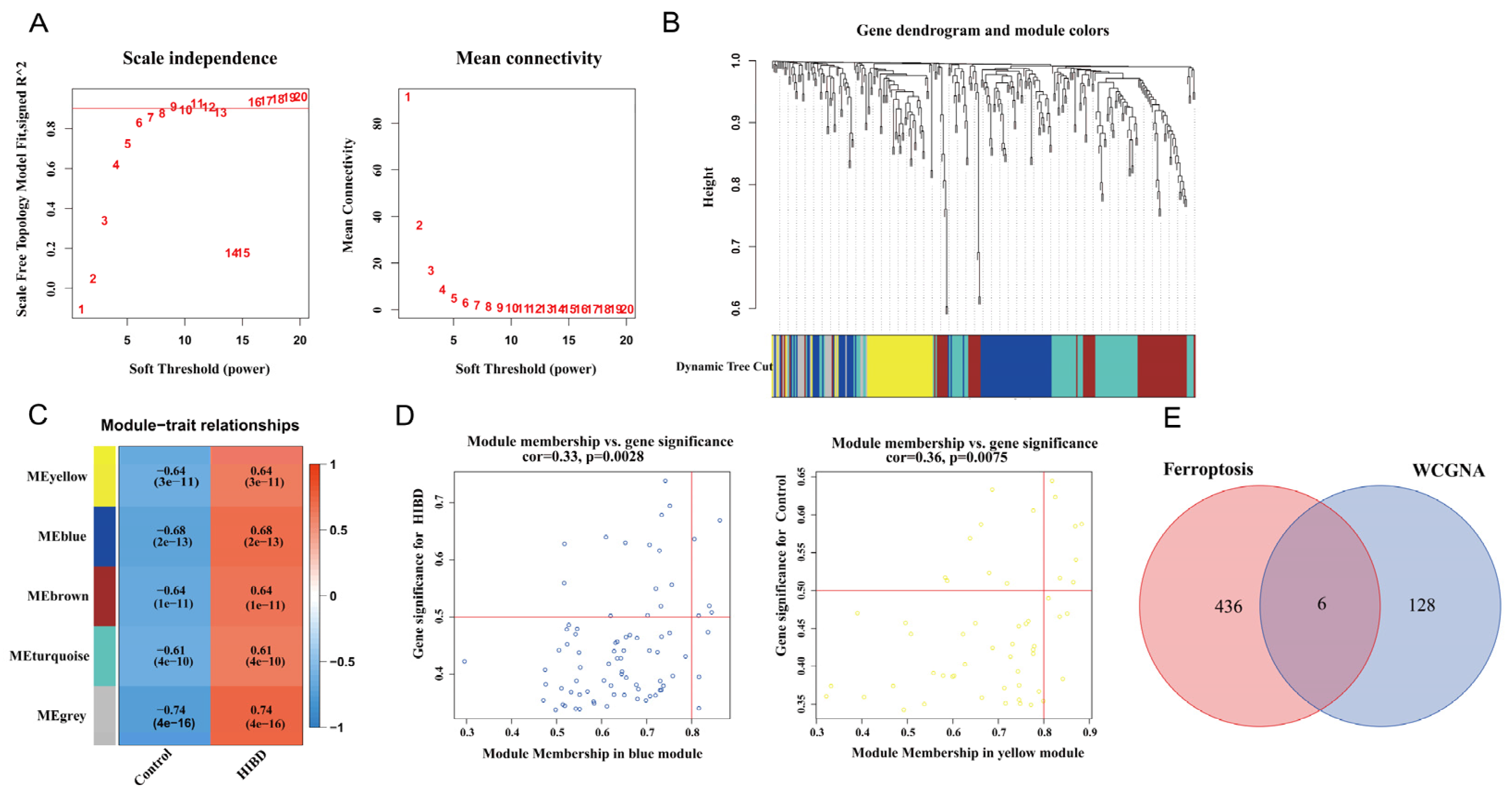 Antioxidants 12 00186 g002