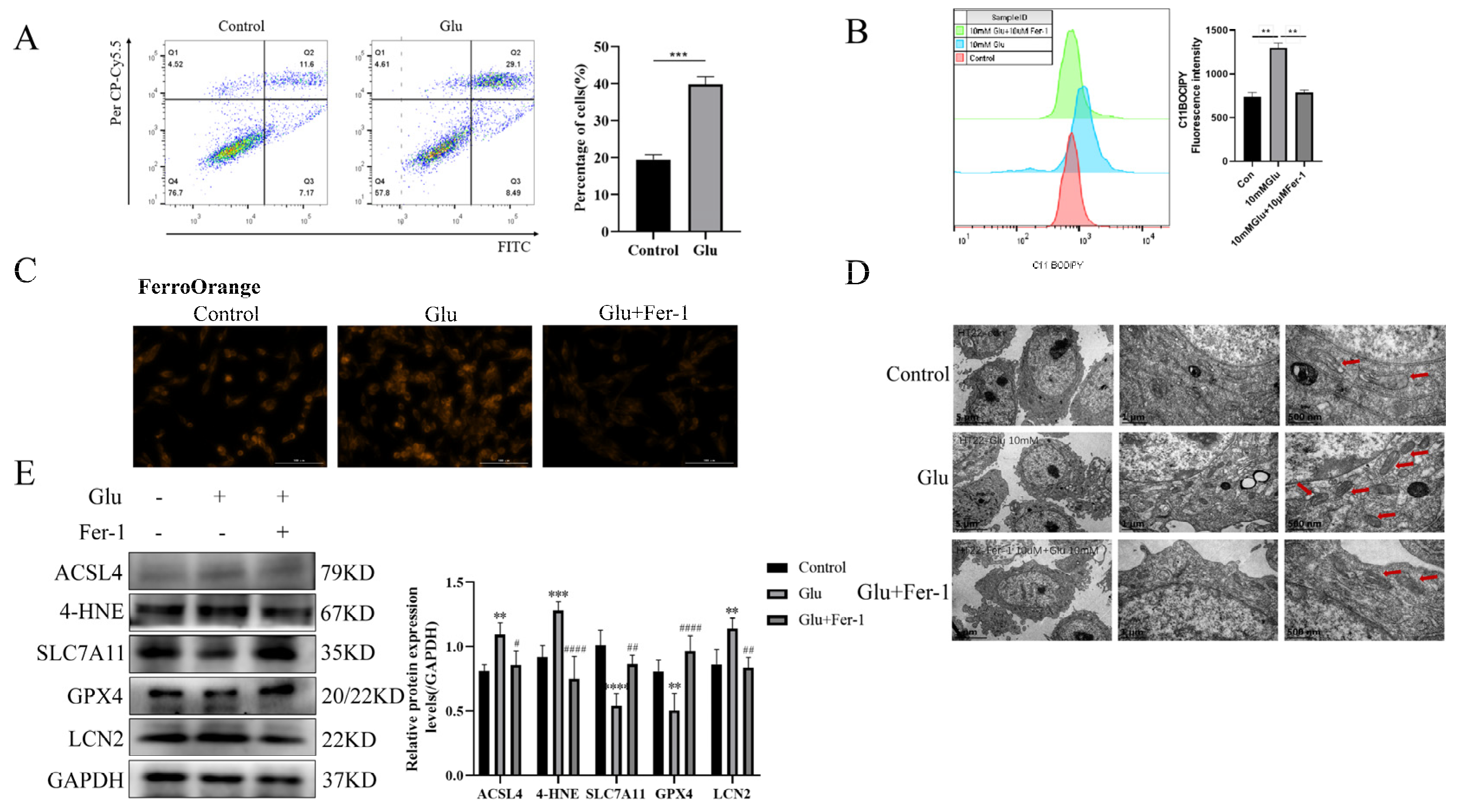 Antioxidants 12 00186 g005