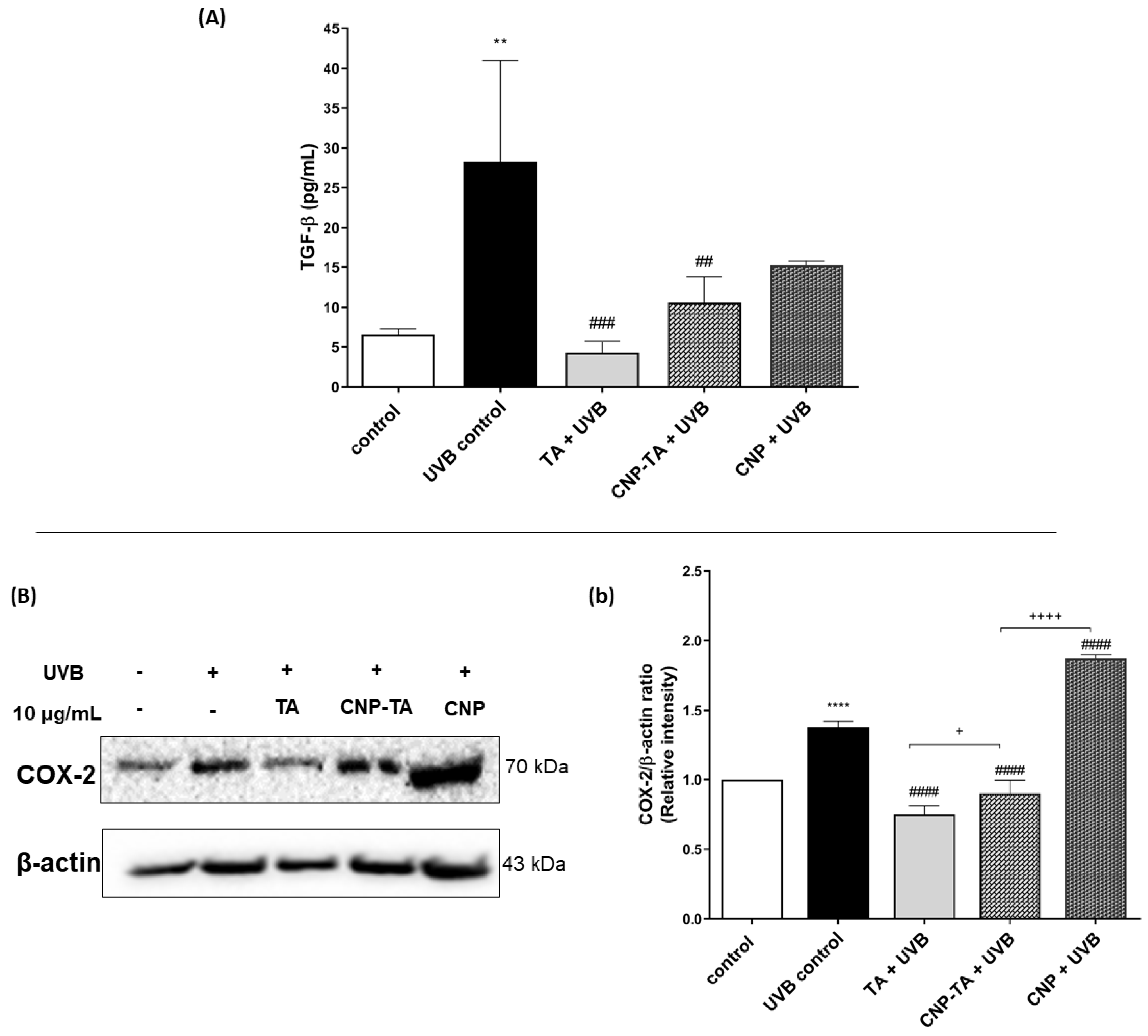 Antioxidants 12 00190 g008