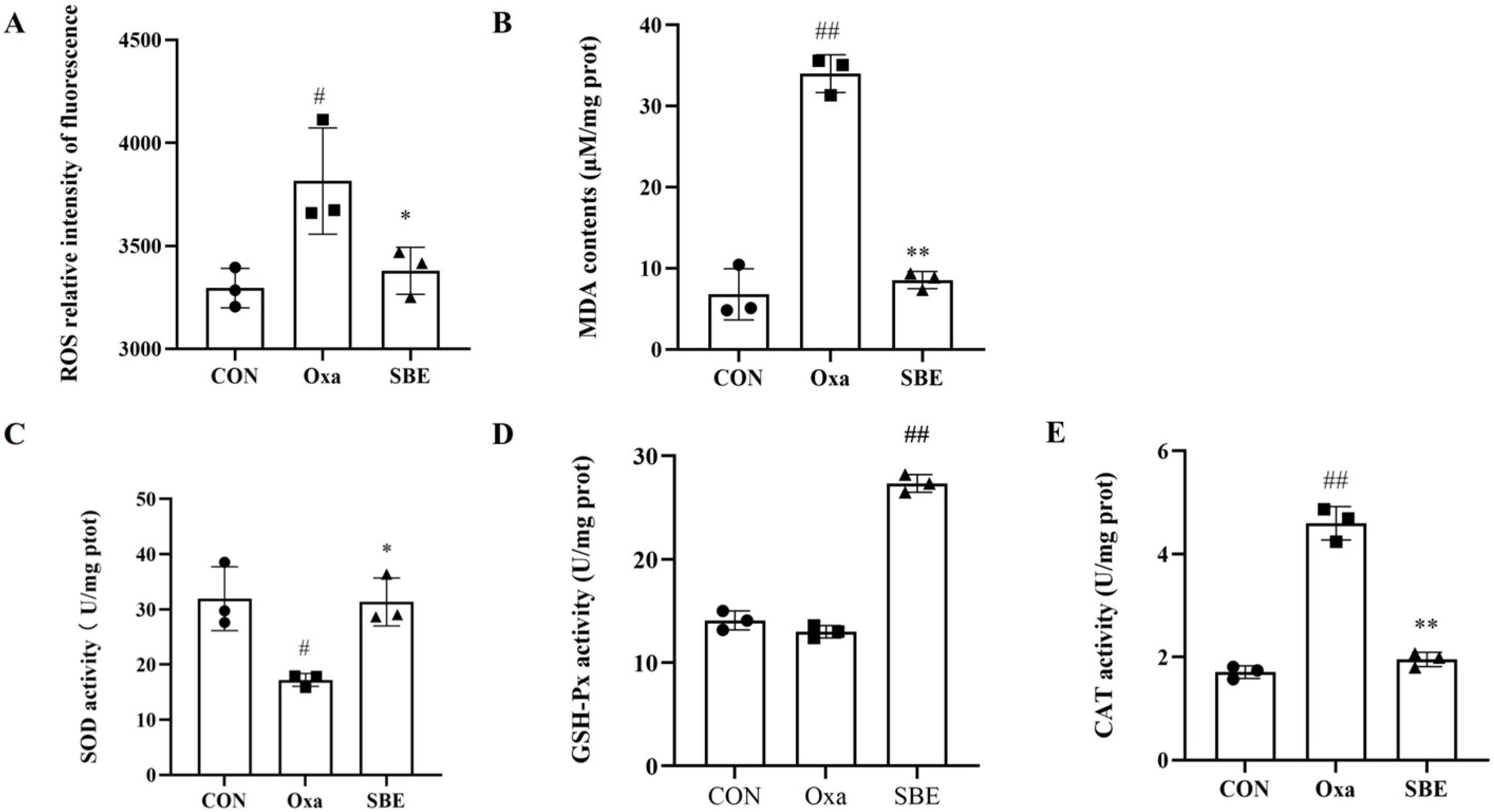 Antioxidants 12 00192 g003