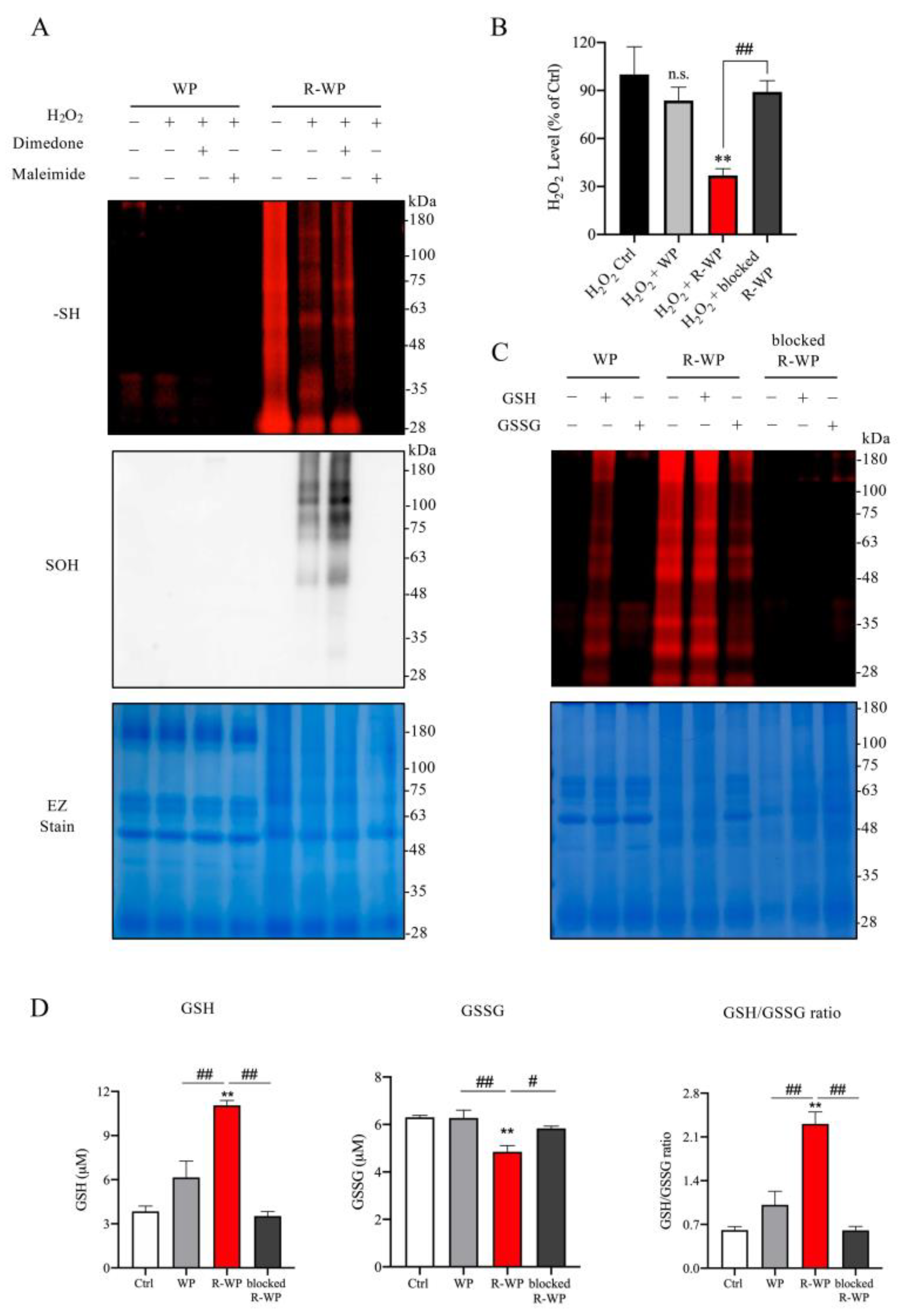 Antioxidants 12 00193 g002