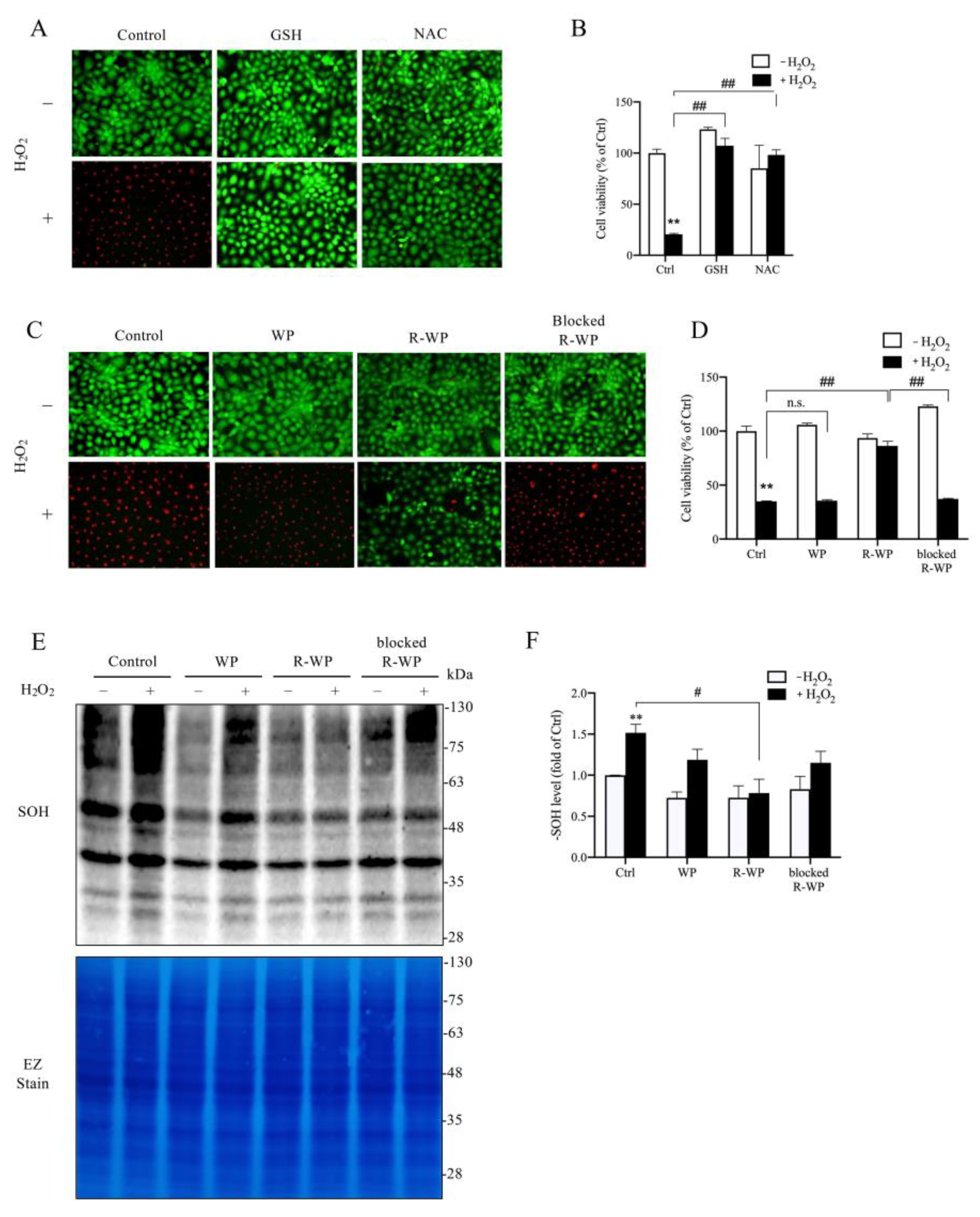 Antioxidants 12 00193 g003