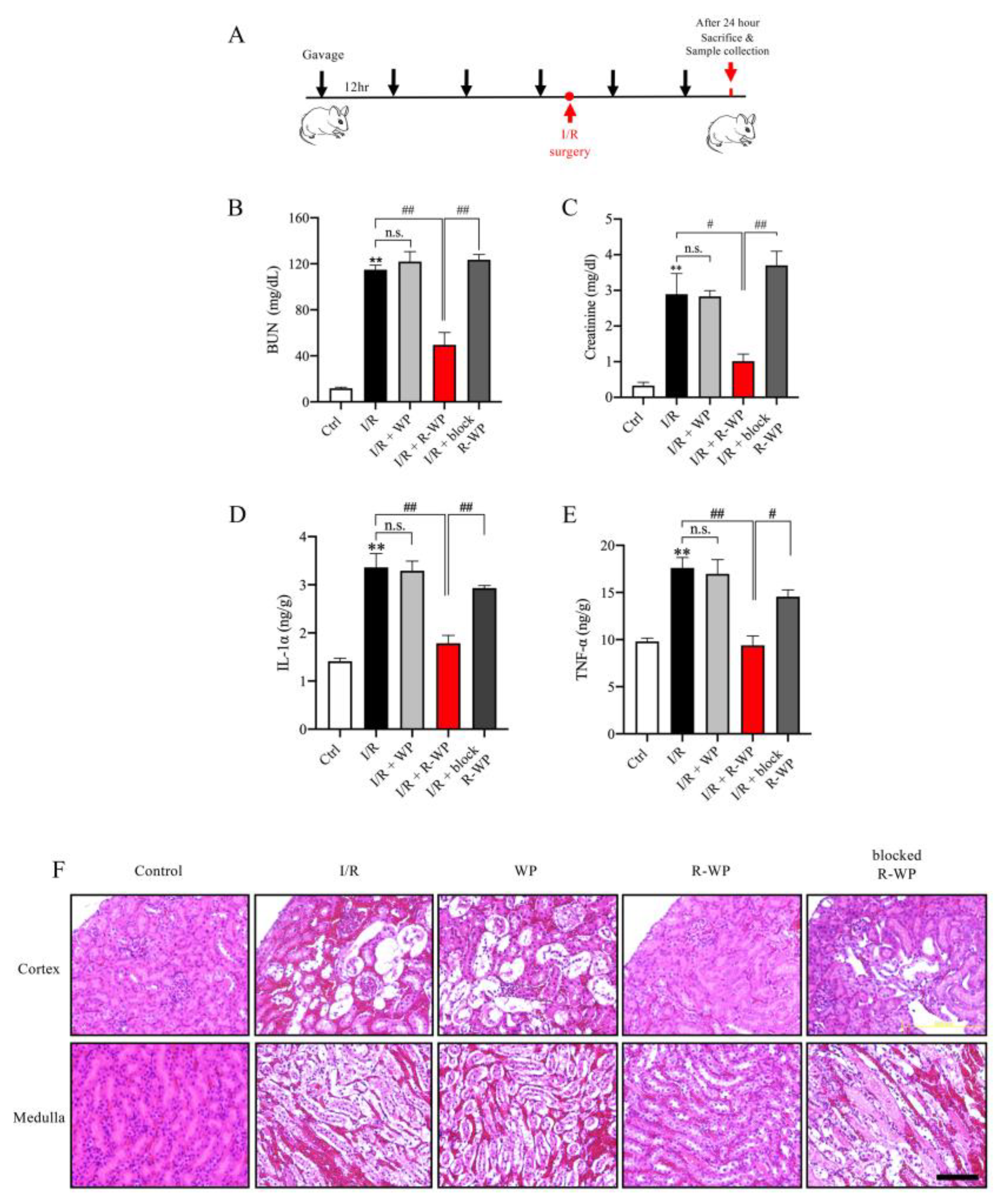 Antioxidants 12 00193 g004