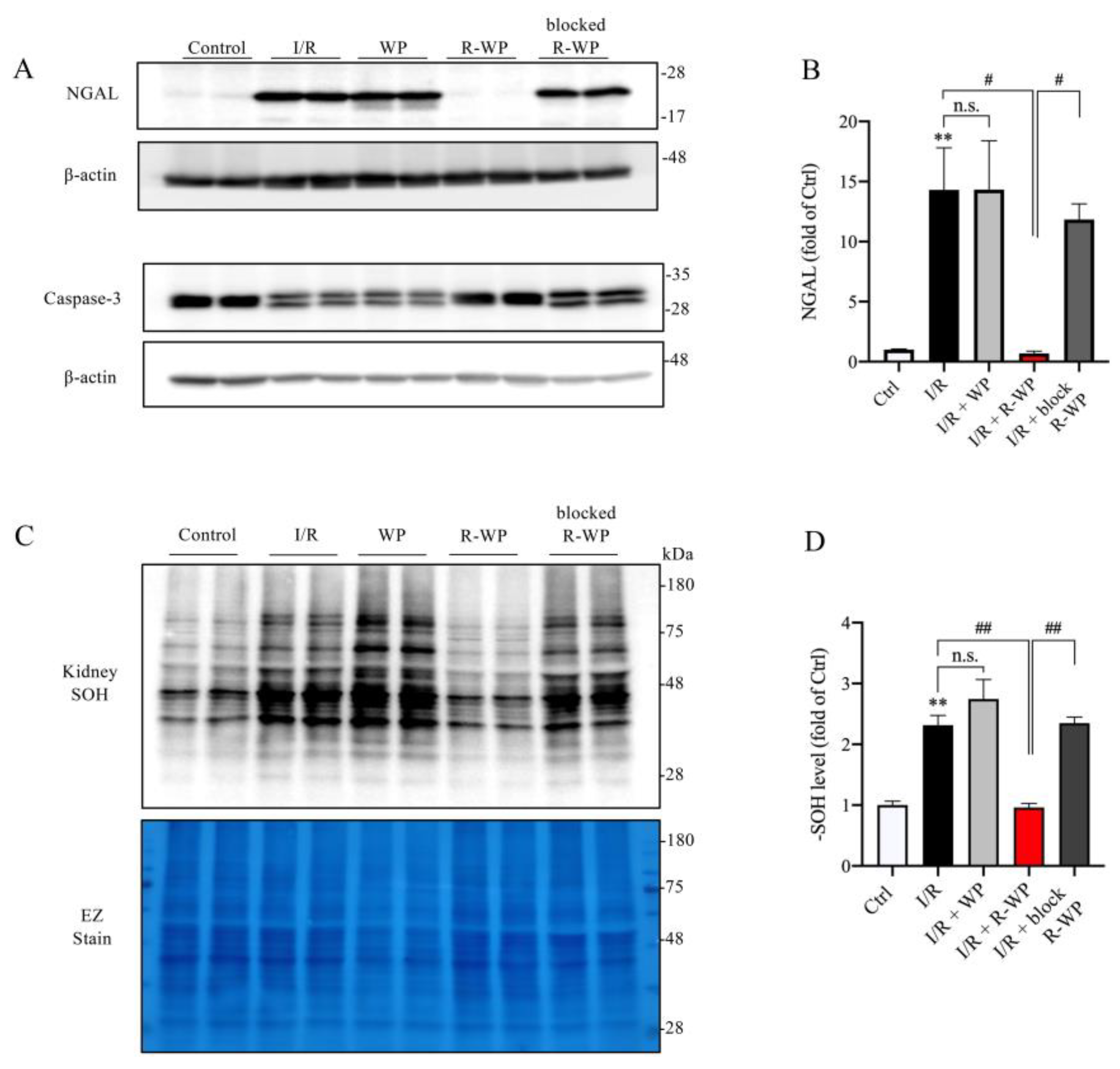 Antioxidants 12 00193 g005
