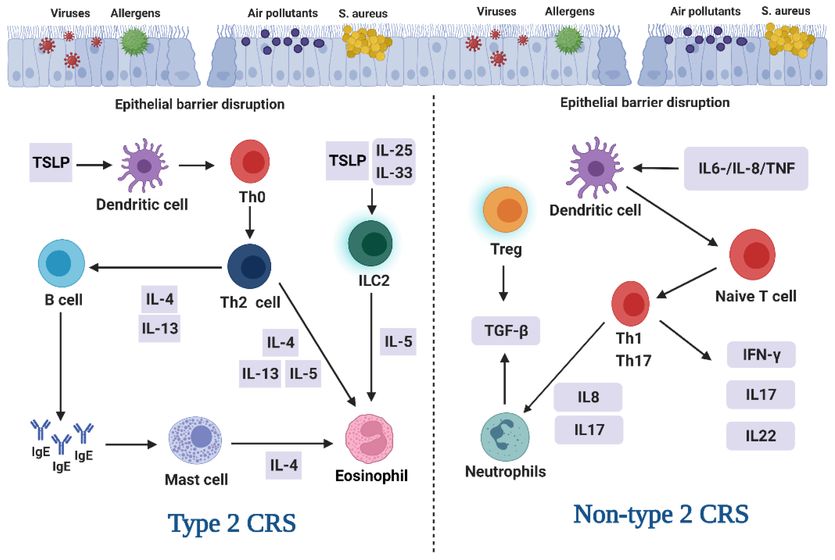 Antioxidants 12 00195 g001