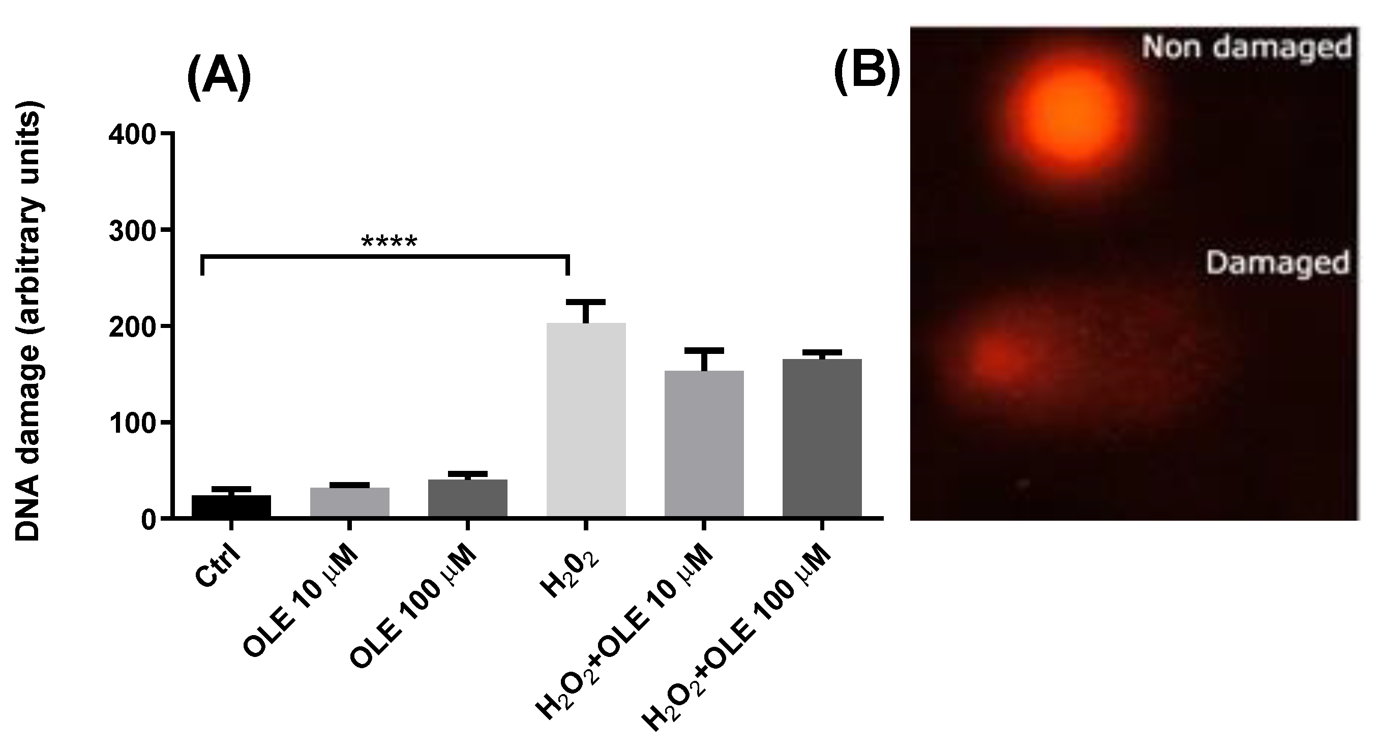 Antioxidants 12 00197 g003