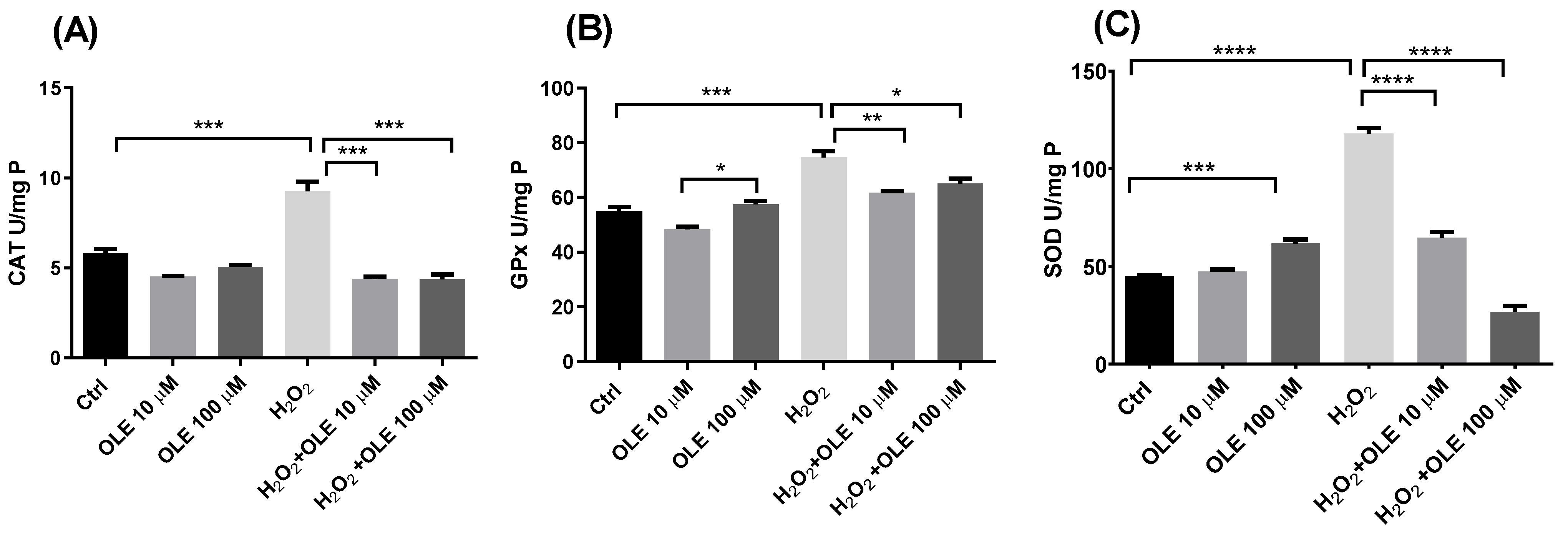 Antioxidants 12 00197 g004